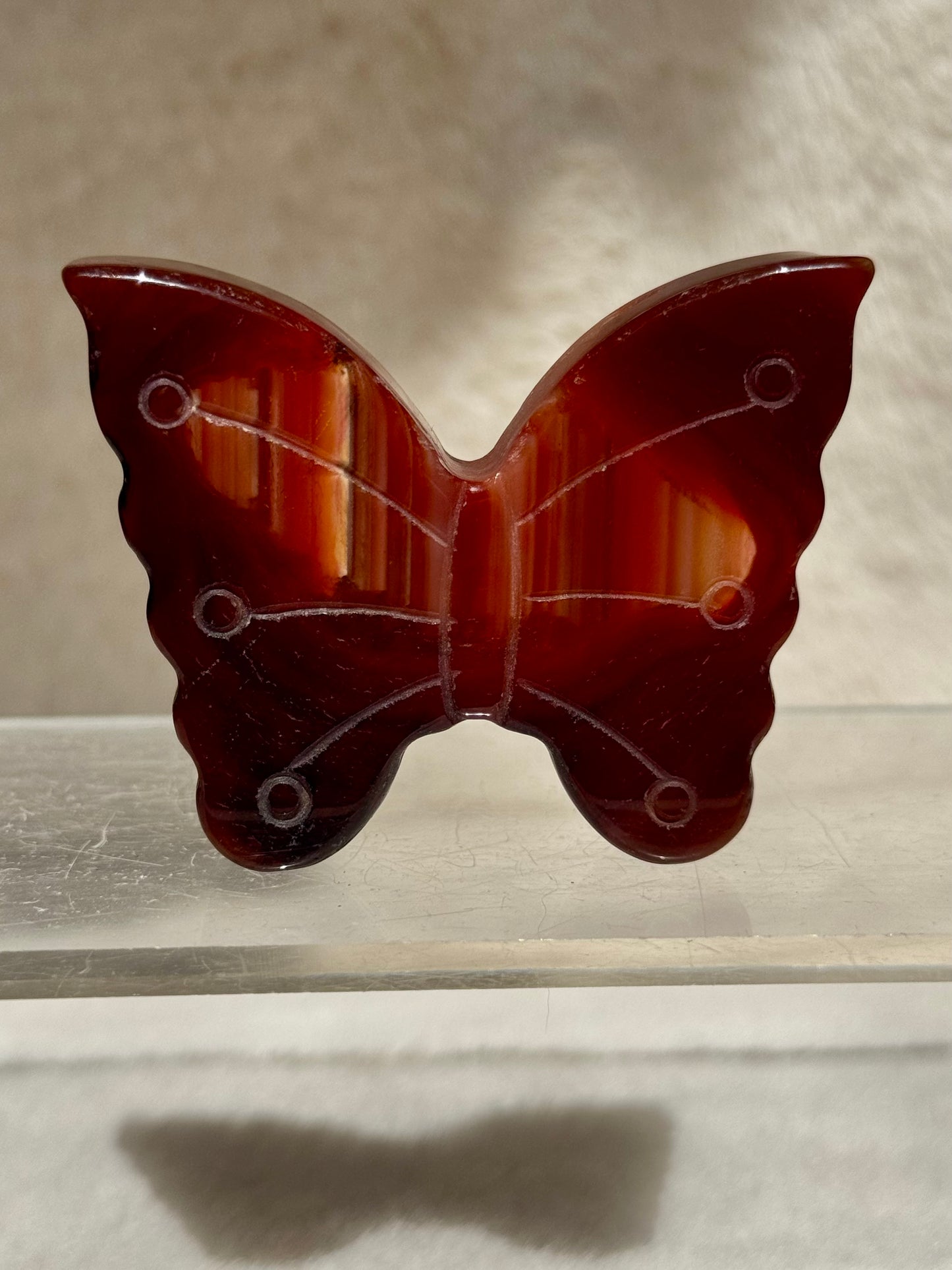 Dreamy Carnelian butterflies