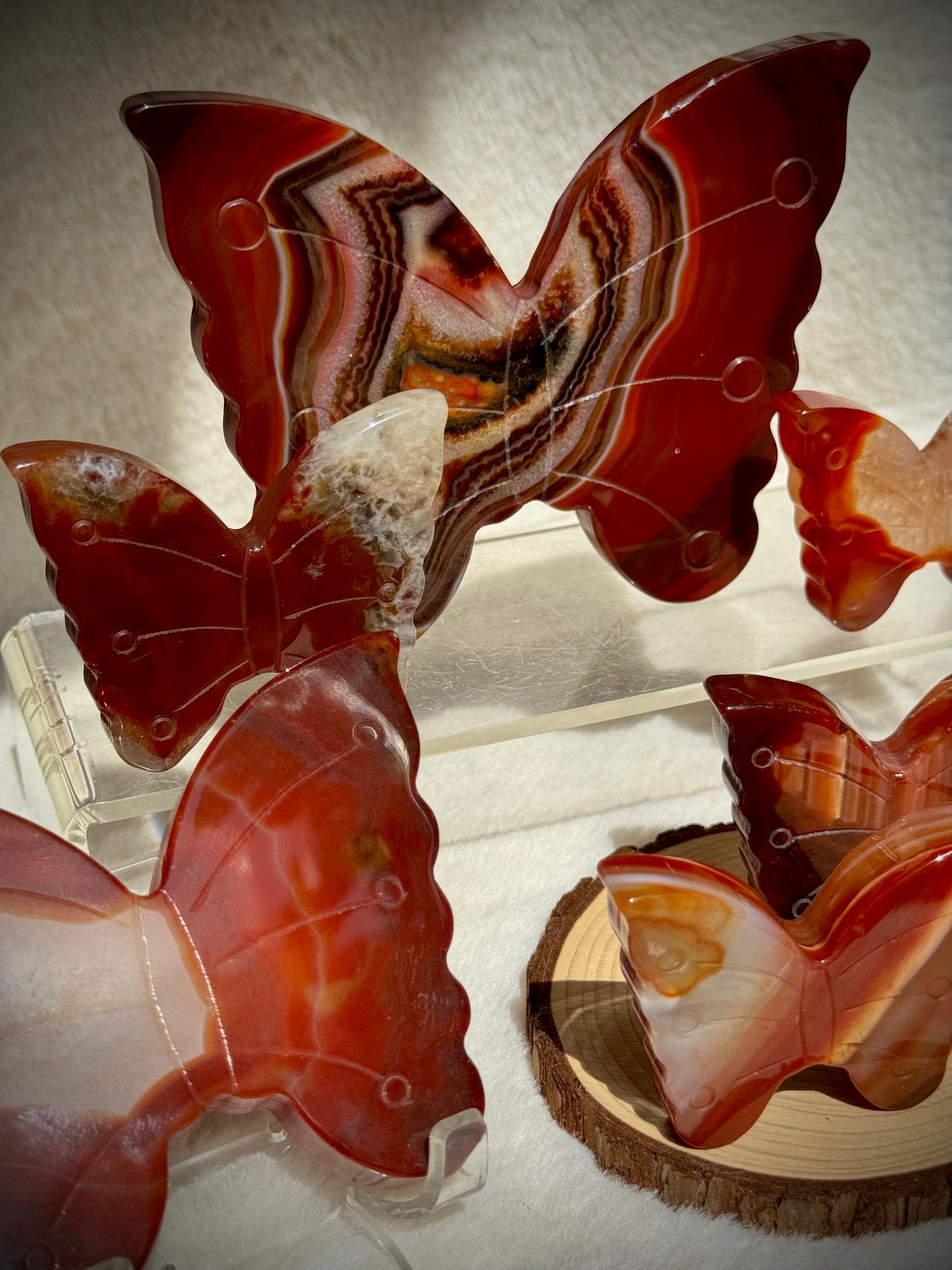 Dreamy Carnelian butterflies