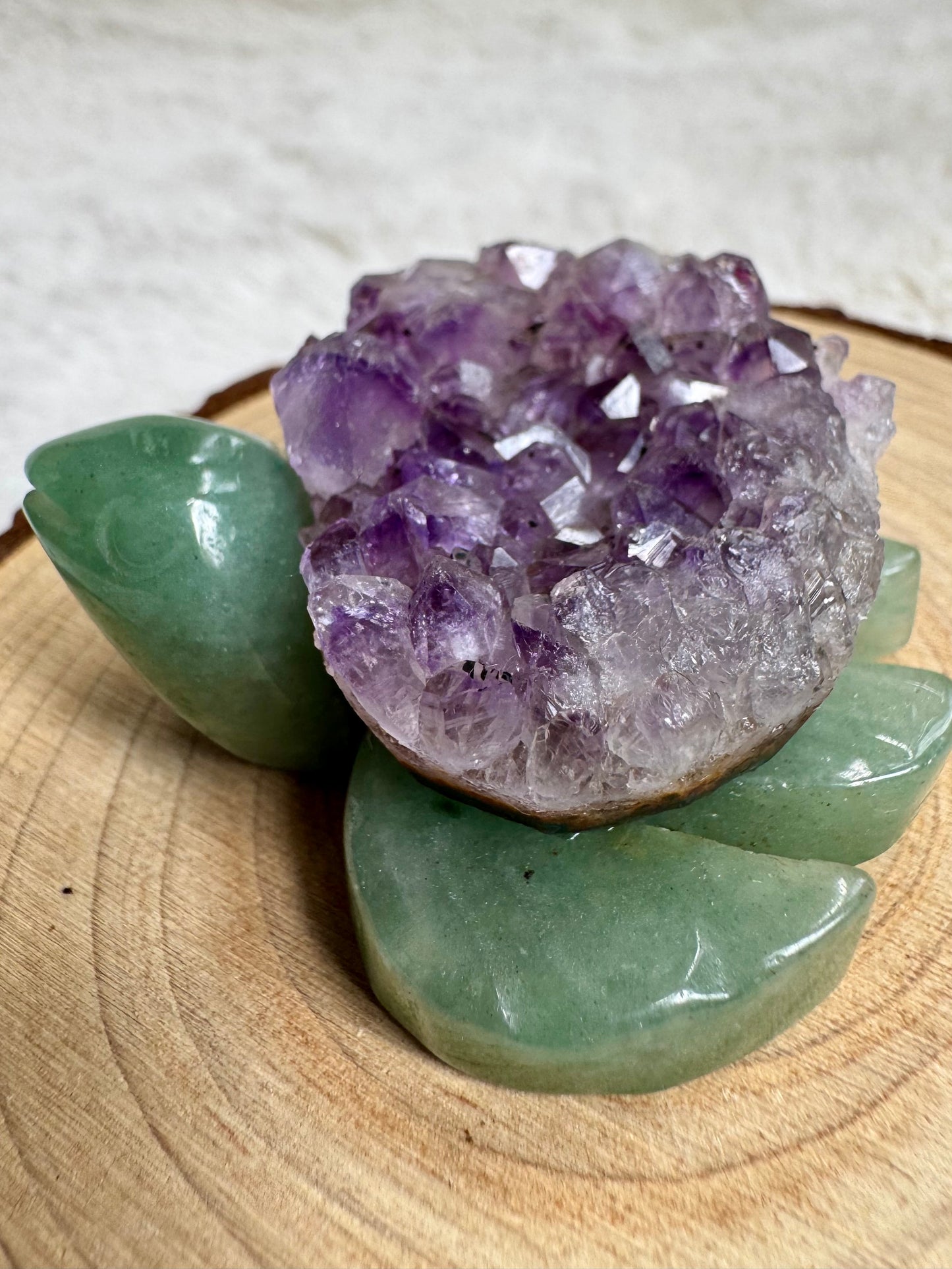 Aventurine cheeky Turtles with Amethyst or Tiger’s Eye Shell