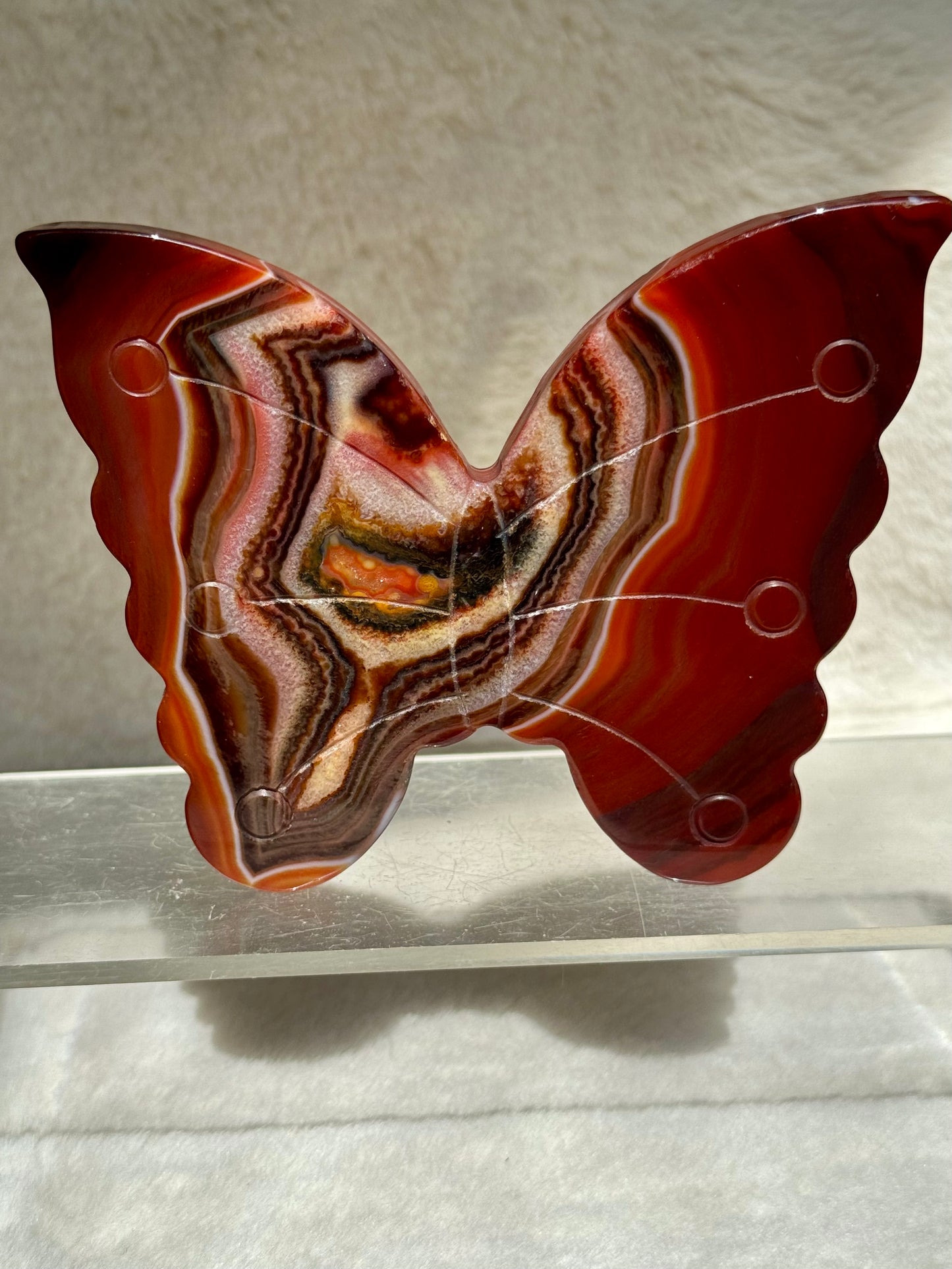 Dreamy Carnelian butterflies
