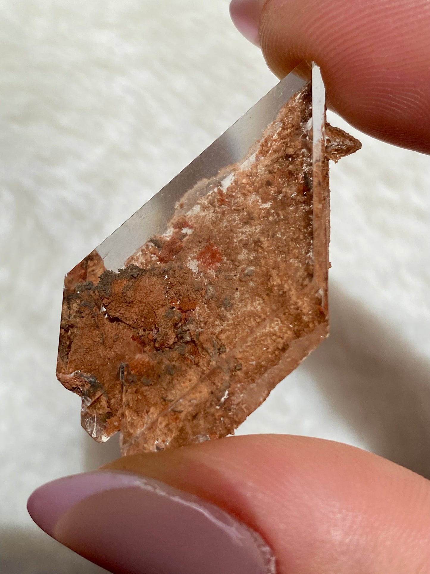 New Bermejillo Selenite Crystals (from Durango- Mexico) Selenite on matrix