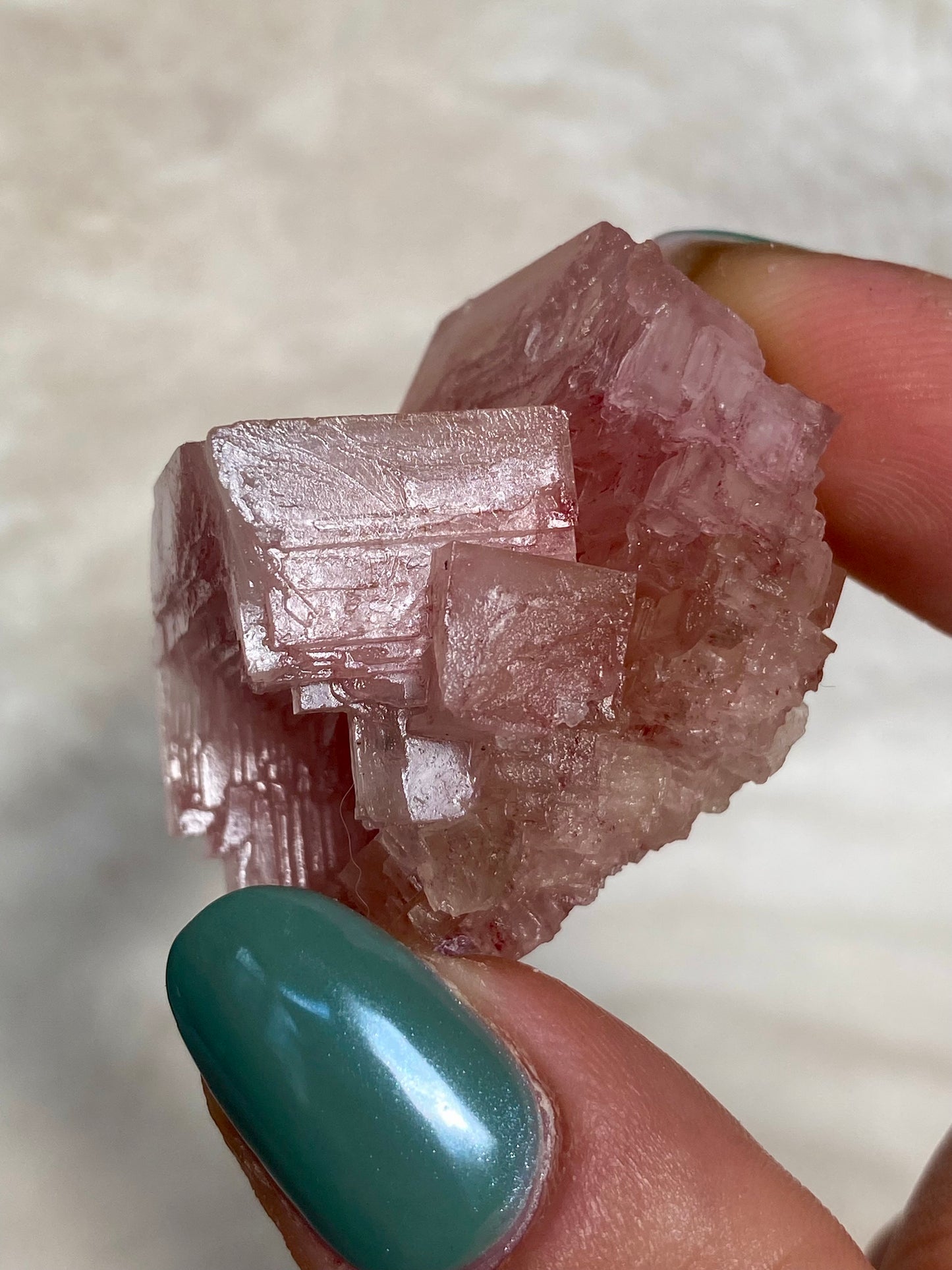Pink Halite Crystals from California