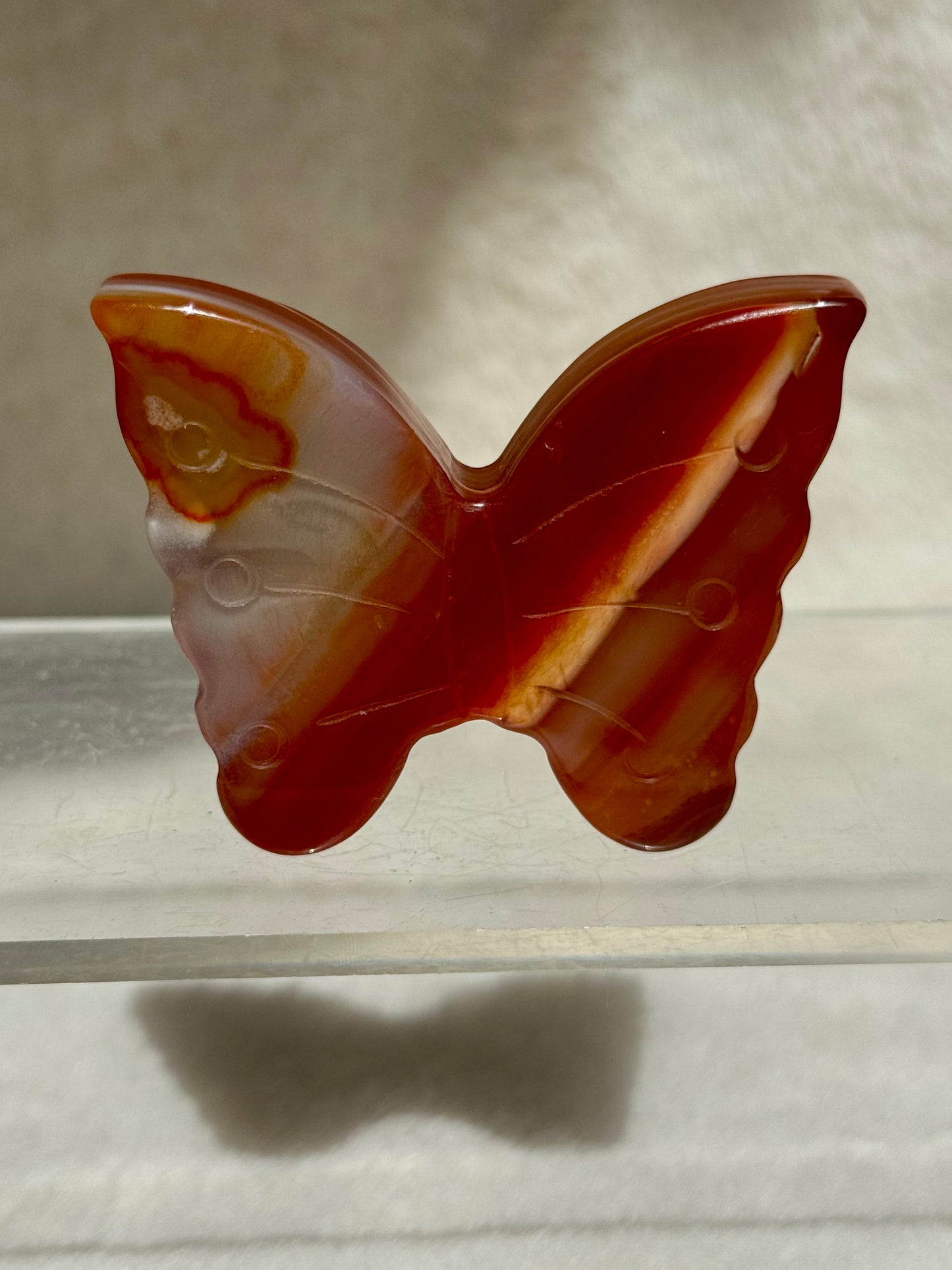 Dreamy Carnelian butterflies