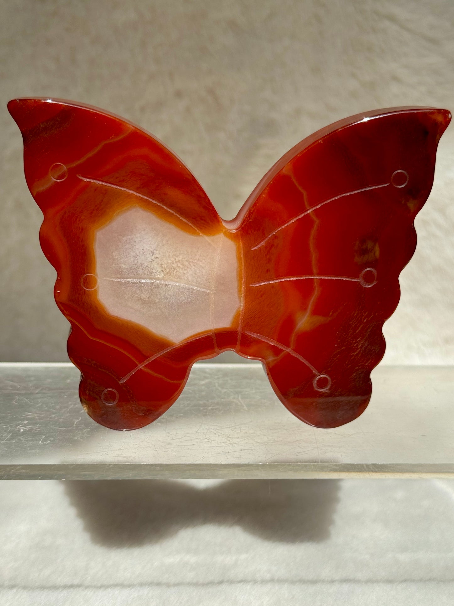 Dreamy Carnelian butterflies