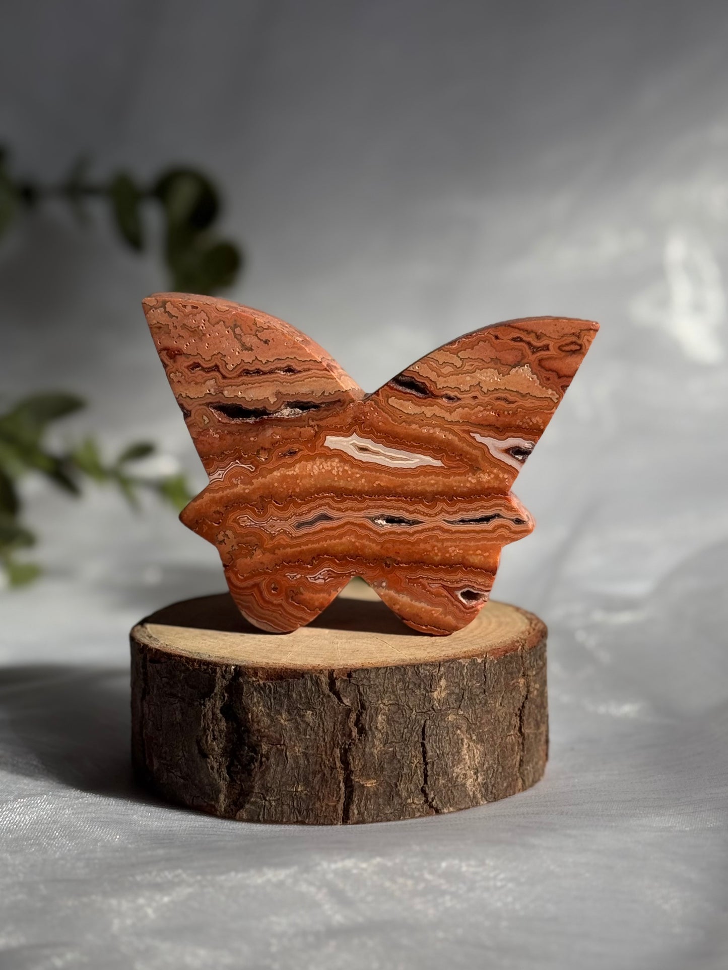 Indonesian Pink Crazy Lace Agate fairies and butterflies carvings