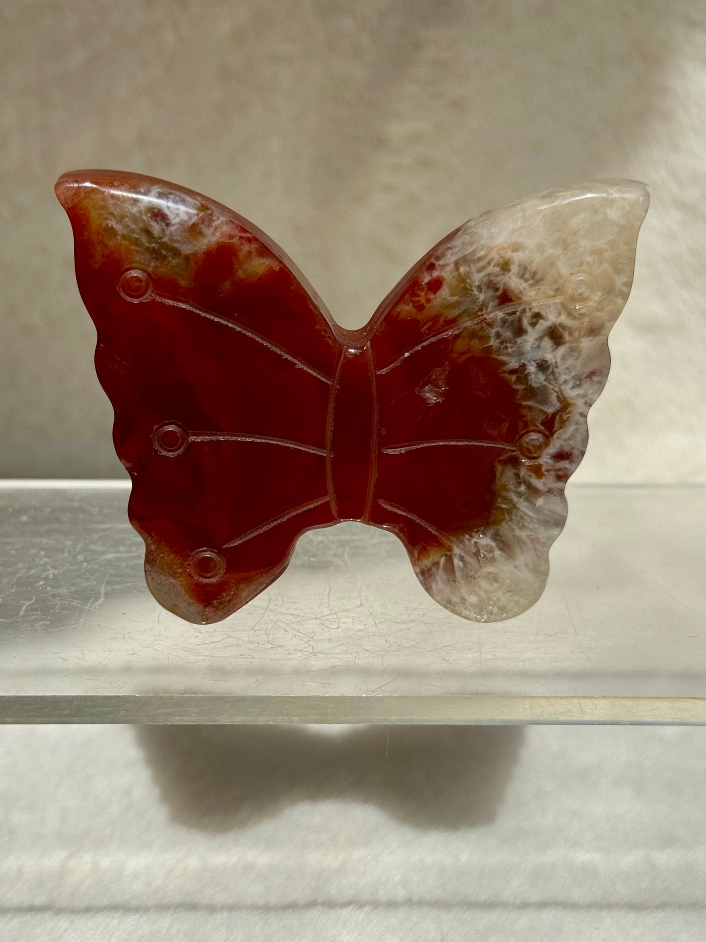 Dreamy Carnelian butterflies