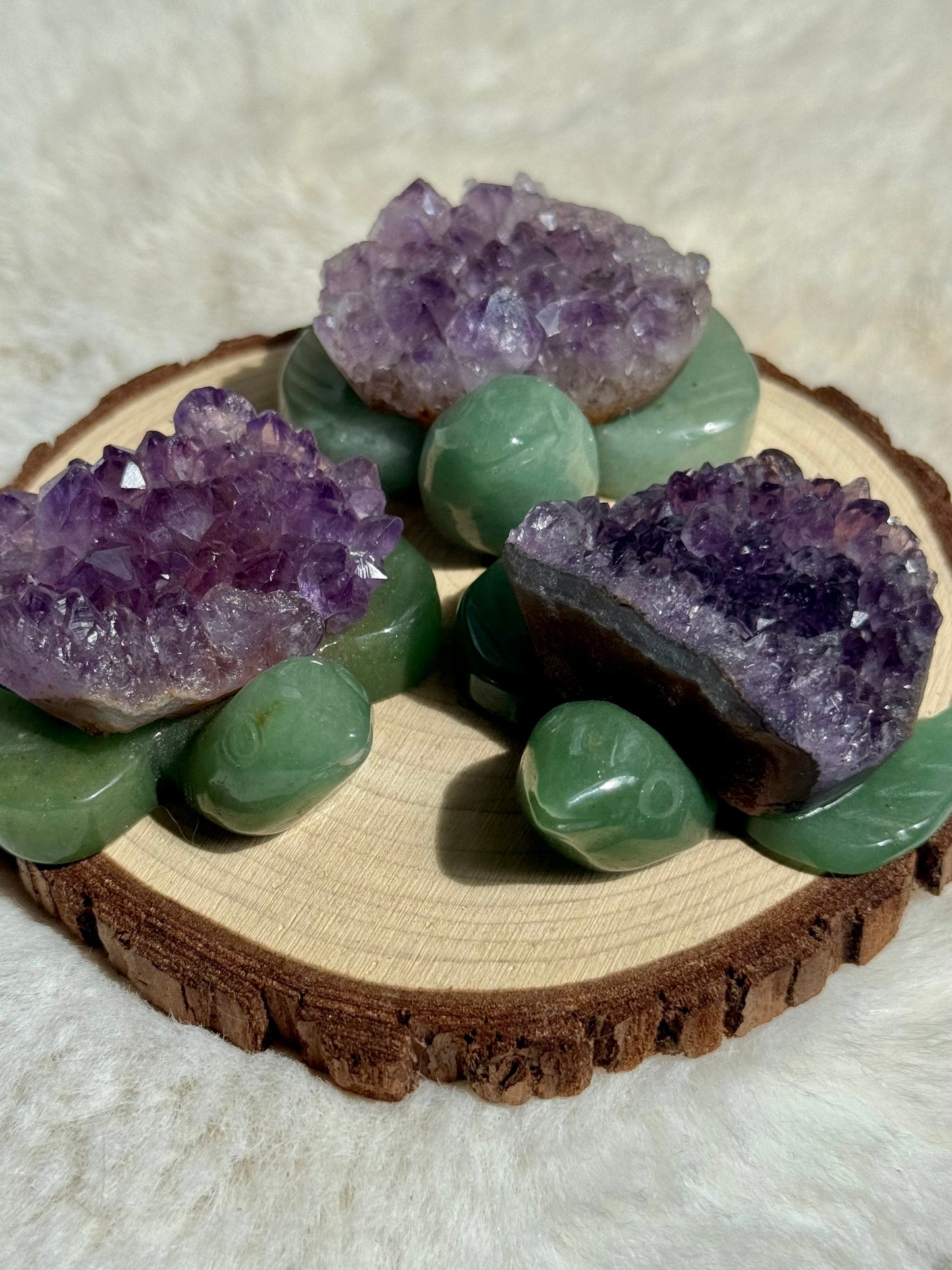 Aventurine cheeky Turtles with Amethyst or Tiger’s Eye Shell