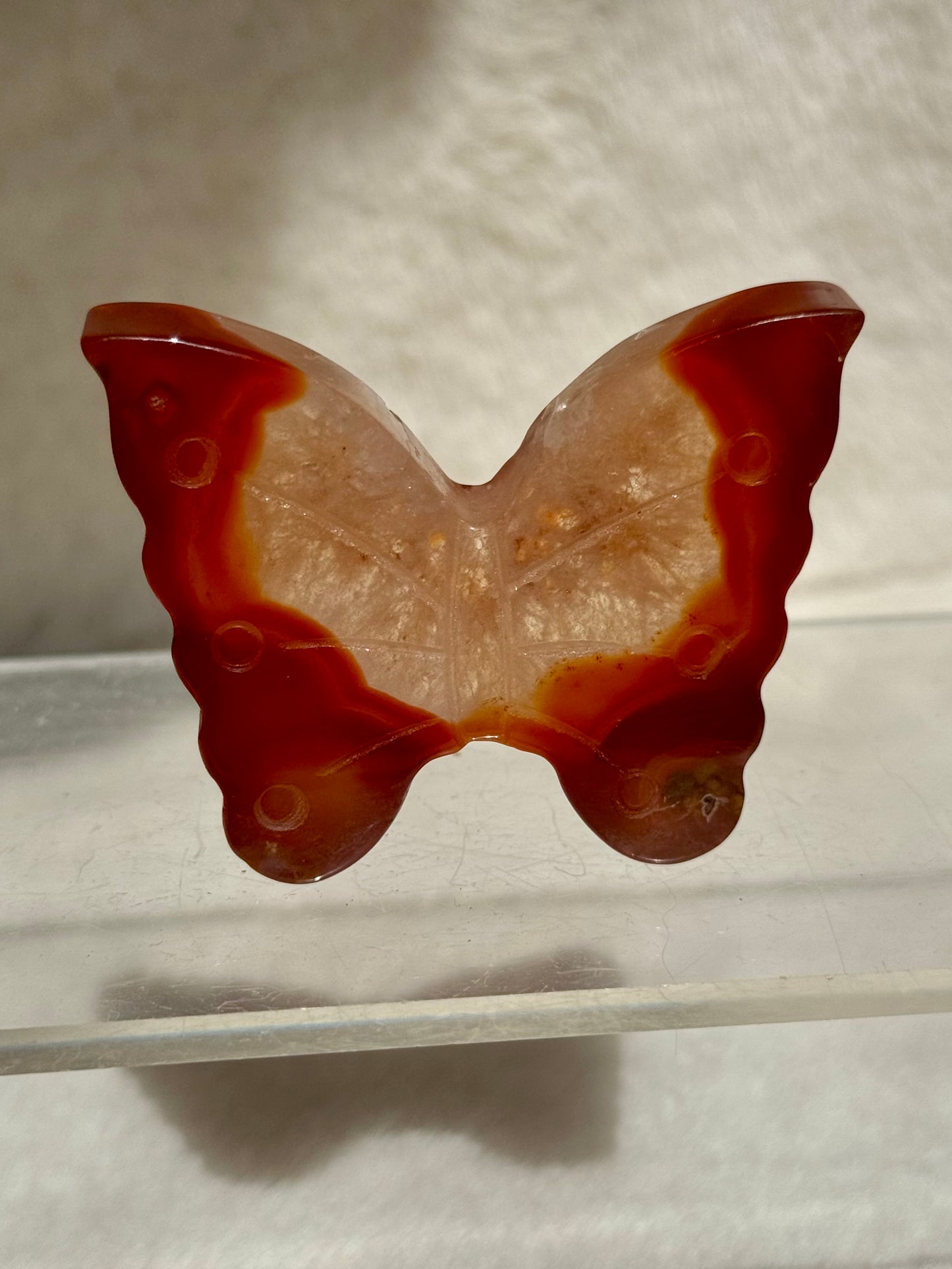 Dreamy Carnelian butterflies