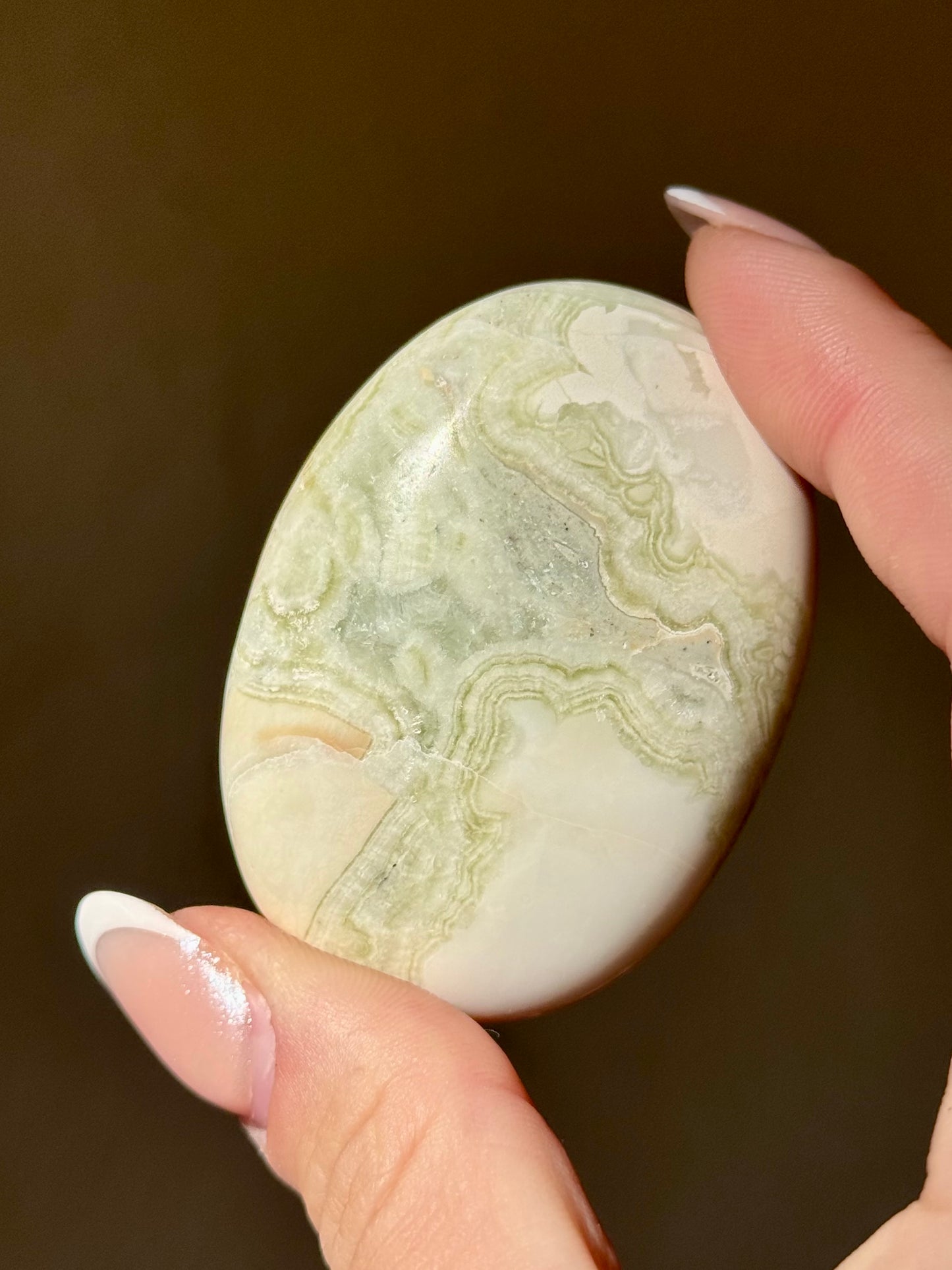 Nikki’s Palm 🍀