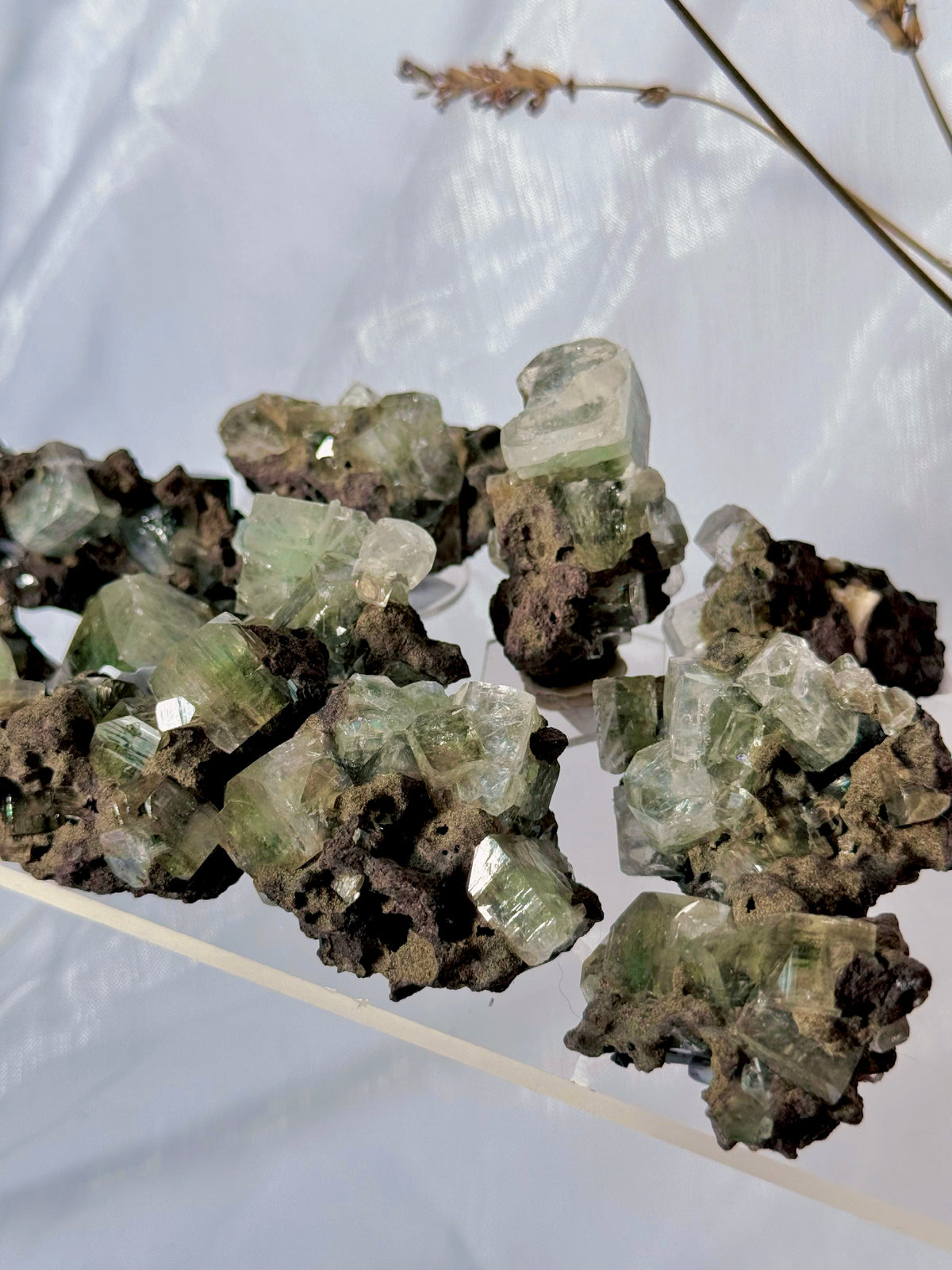 Emerald Green Mermaid Apophyllite specimens - India