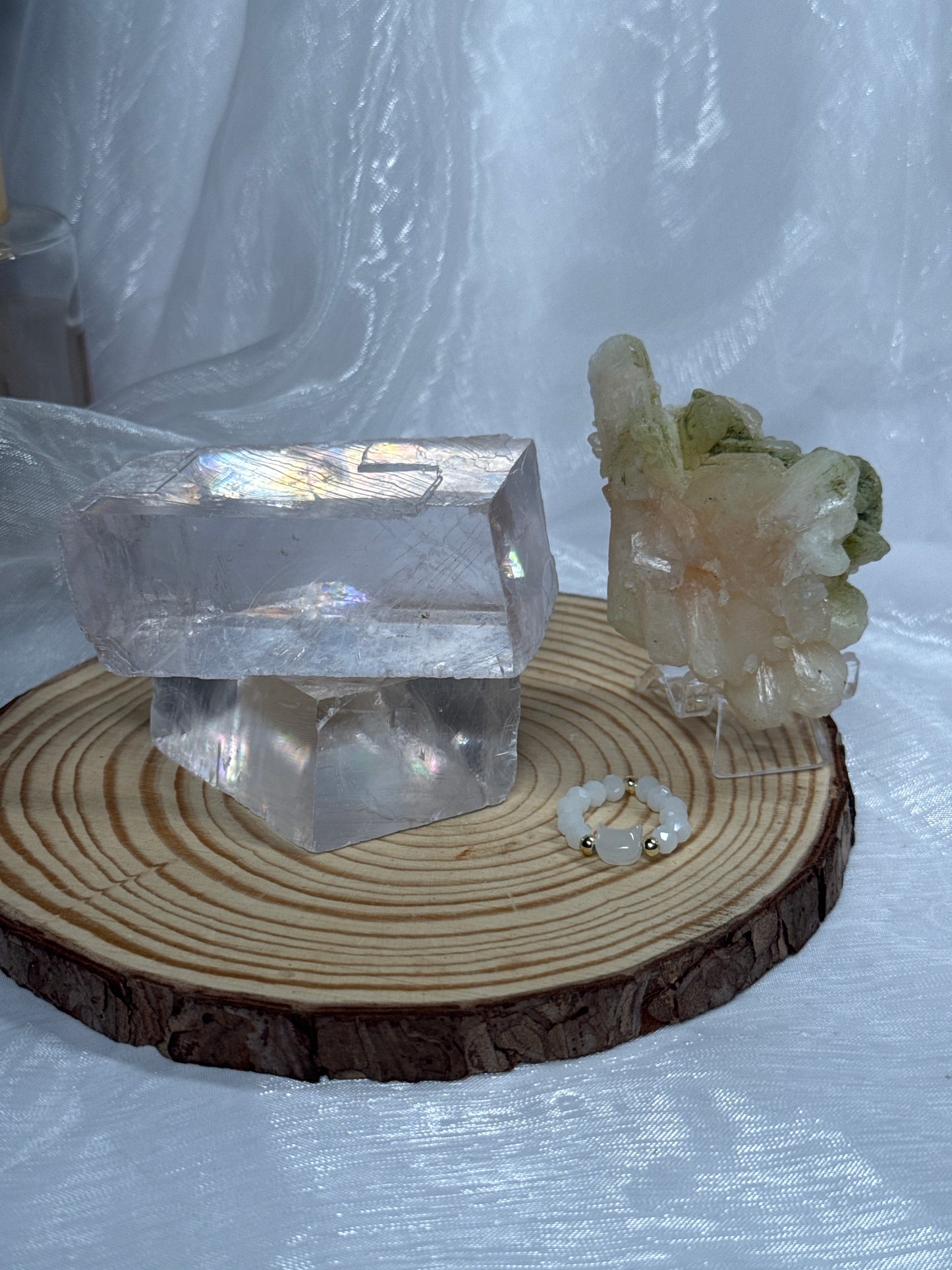 Sophie 🤍