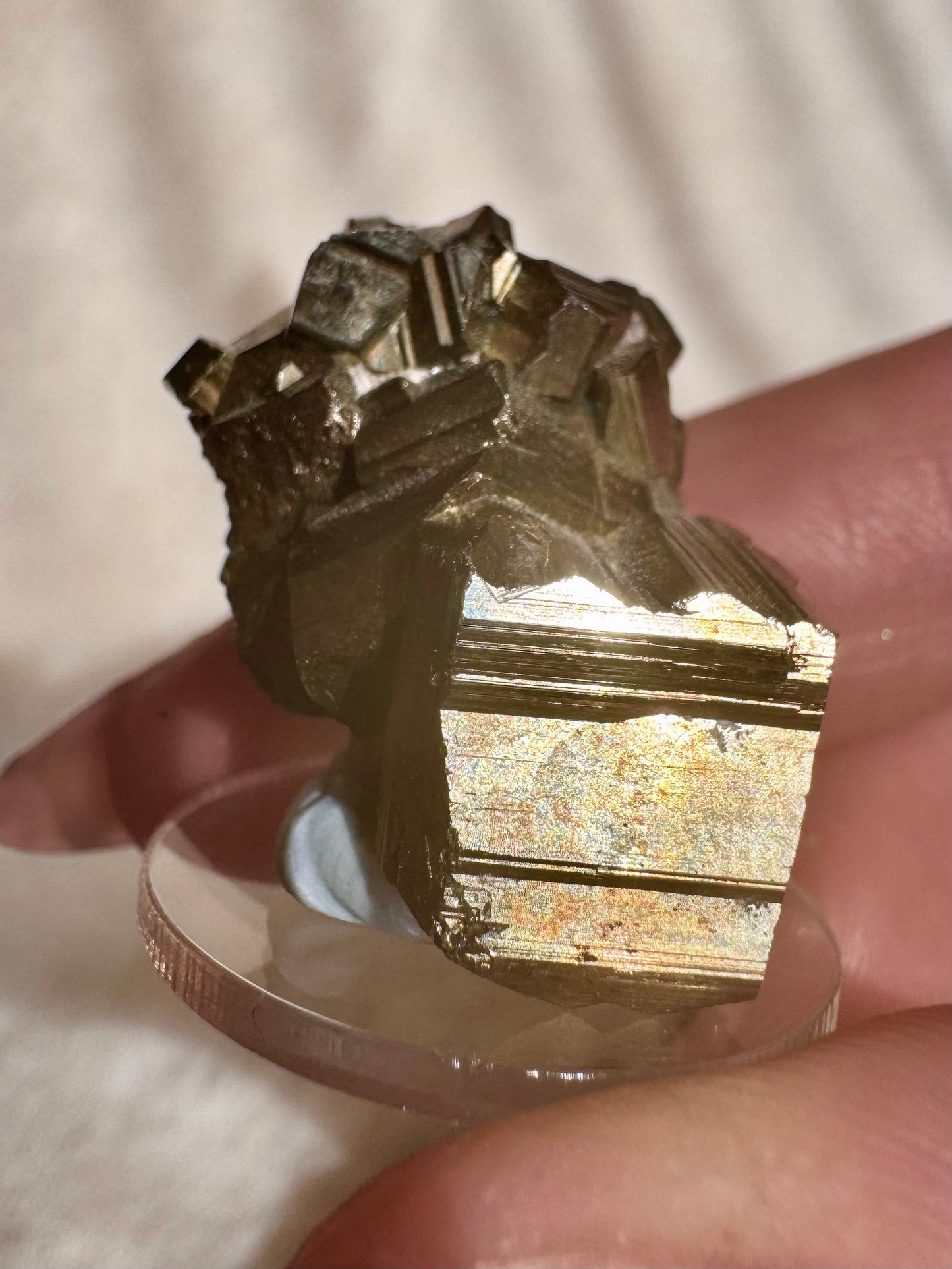 Cubic Pyrite from Buglaria