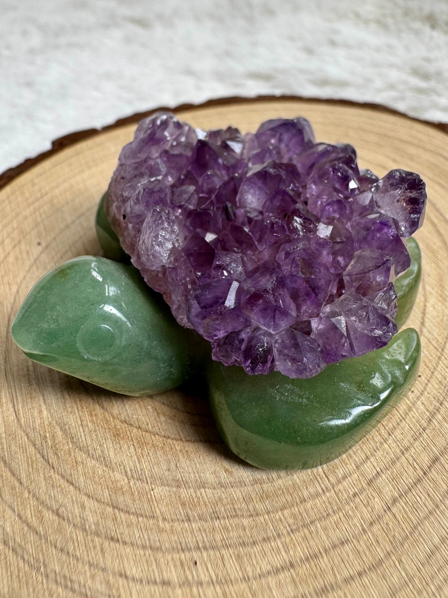 Aventurine cheeky Turtles with Amethyst or Tiger’s Eye Shell