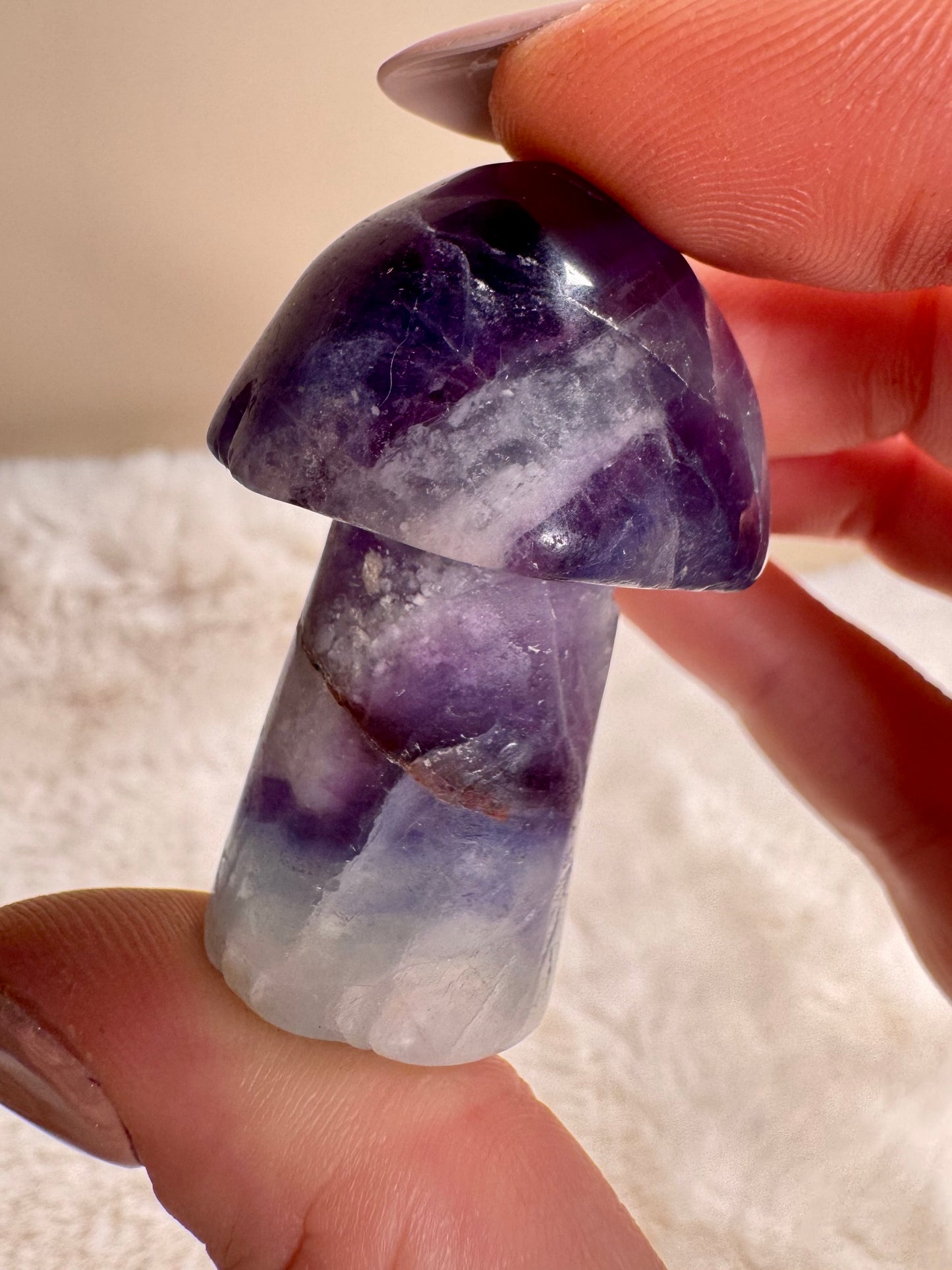 Fluorite Mushrooms