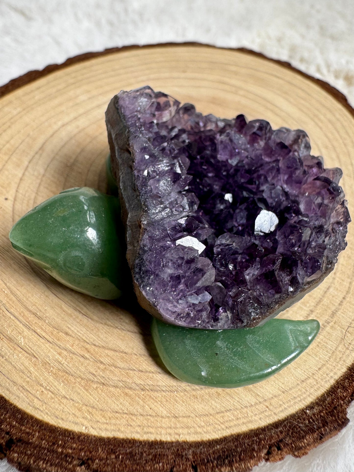 Aventurine cheeky Turtles with Amethyst or Tiger’s Eye Shell