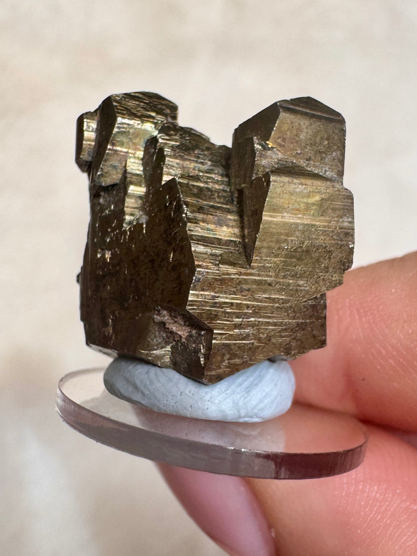 Cubic Pyrite from Buglaria