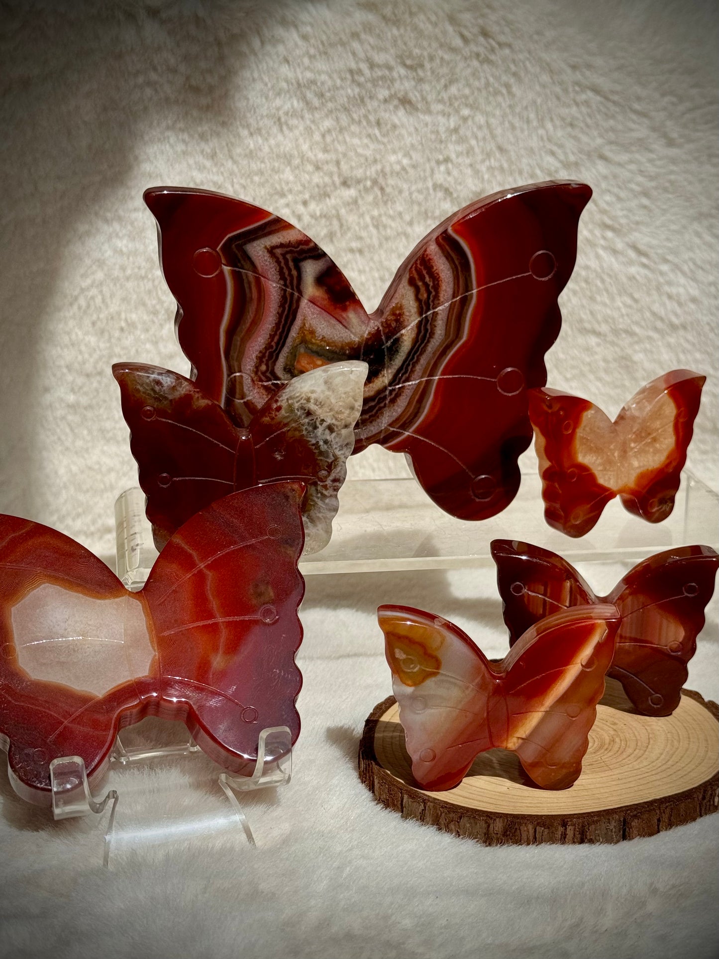 Dreamy Carnelian butterflies