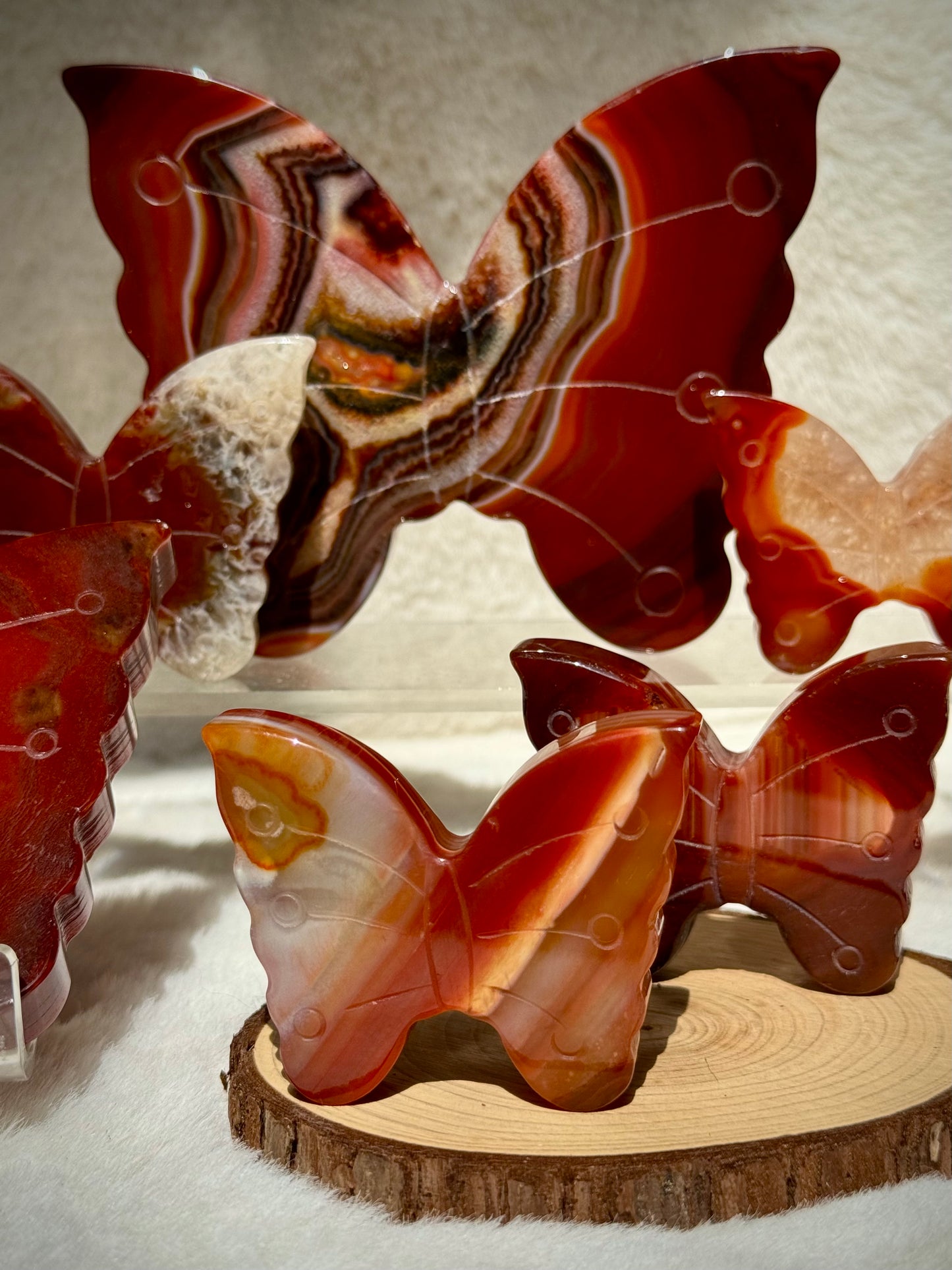 Dreamy Carnelian butterflies