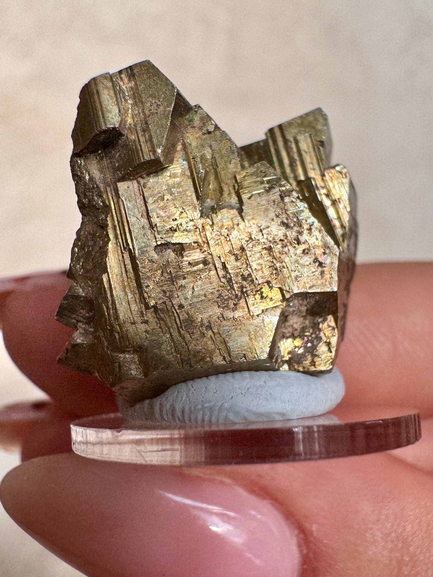 Cubic Pyrite from Buglaria