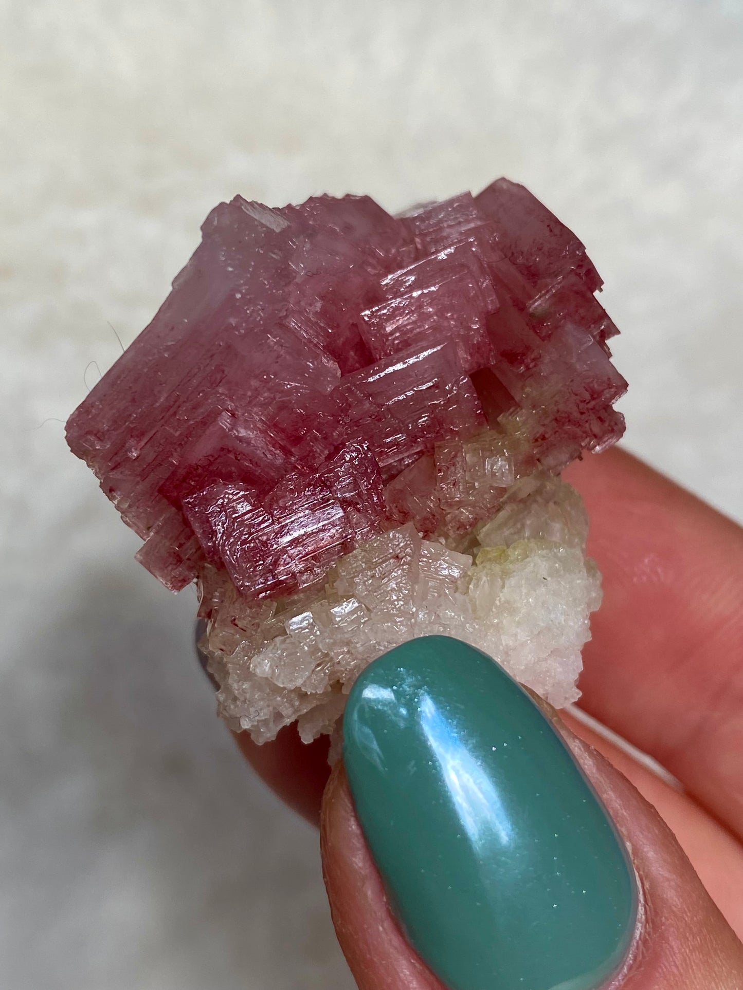 Pink Halite Crystals from California