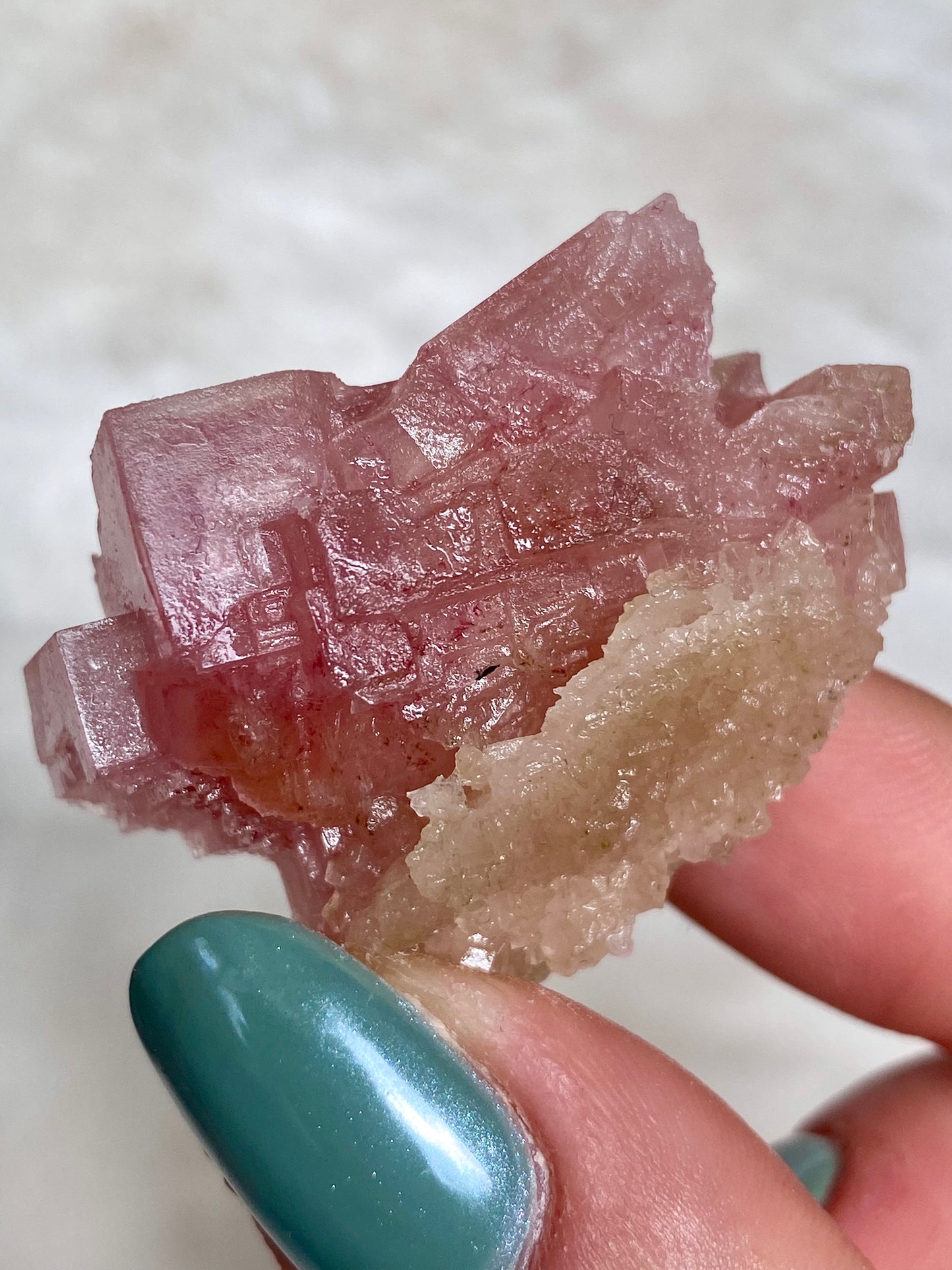 Pink Halite Crystals from California