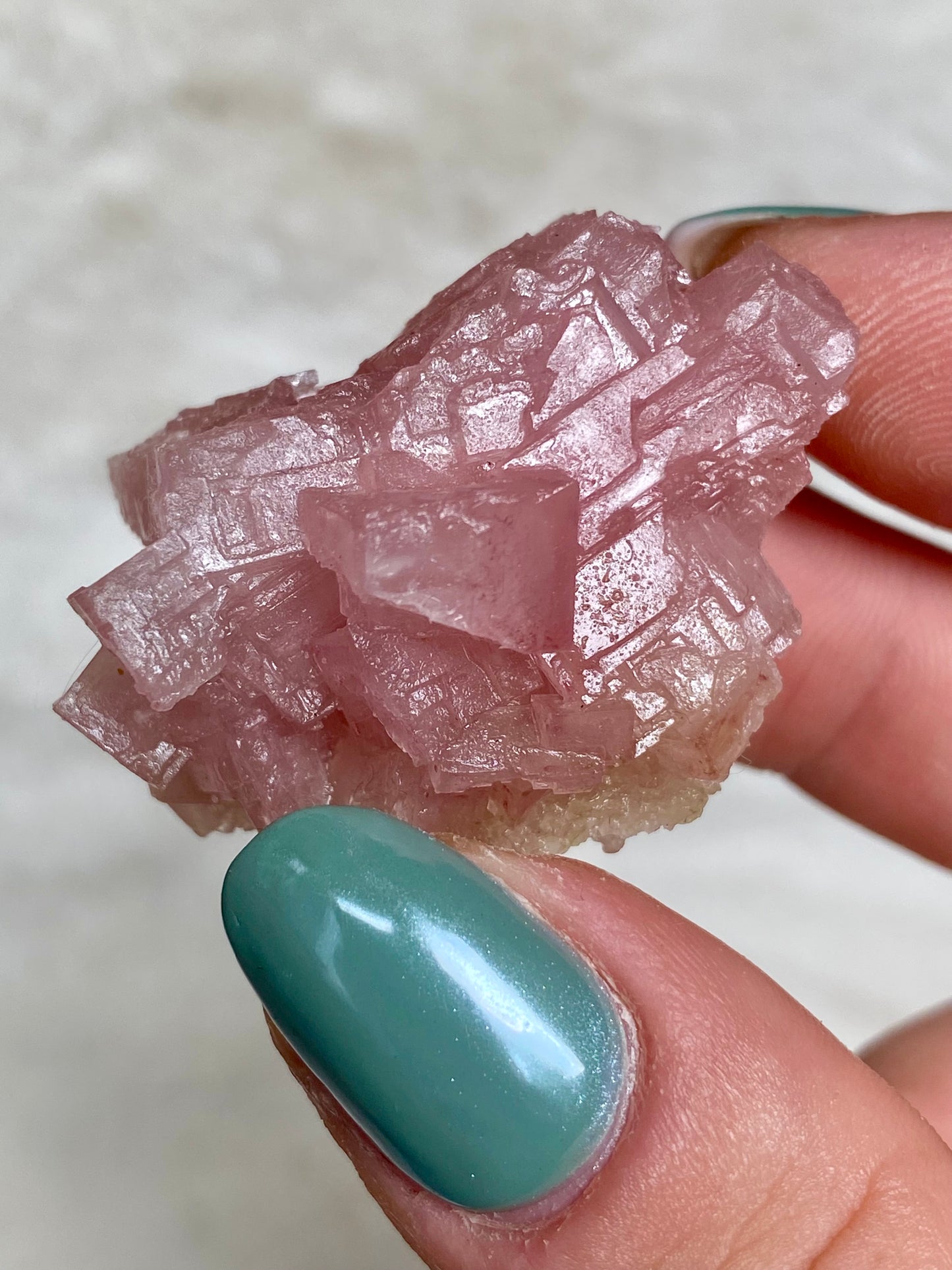 Pink Halite Crystals from California