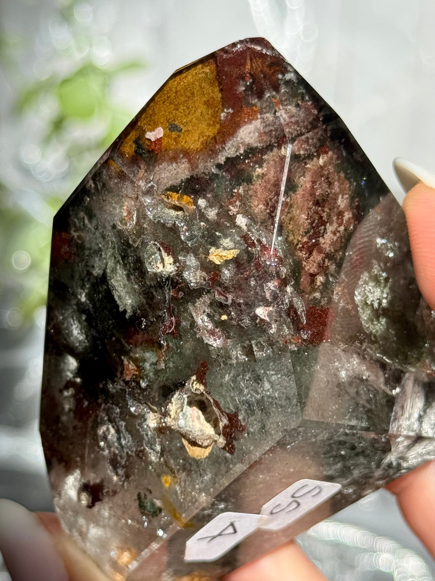 Dragon Blood Garden Quartz| Lodolite Freeform