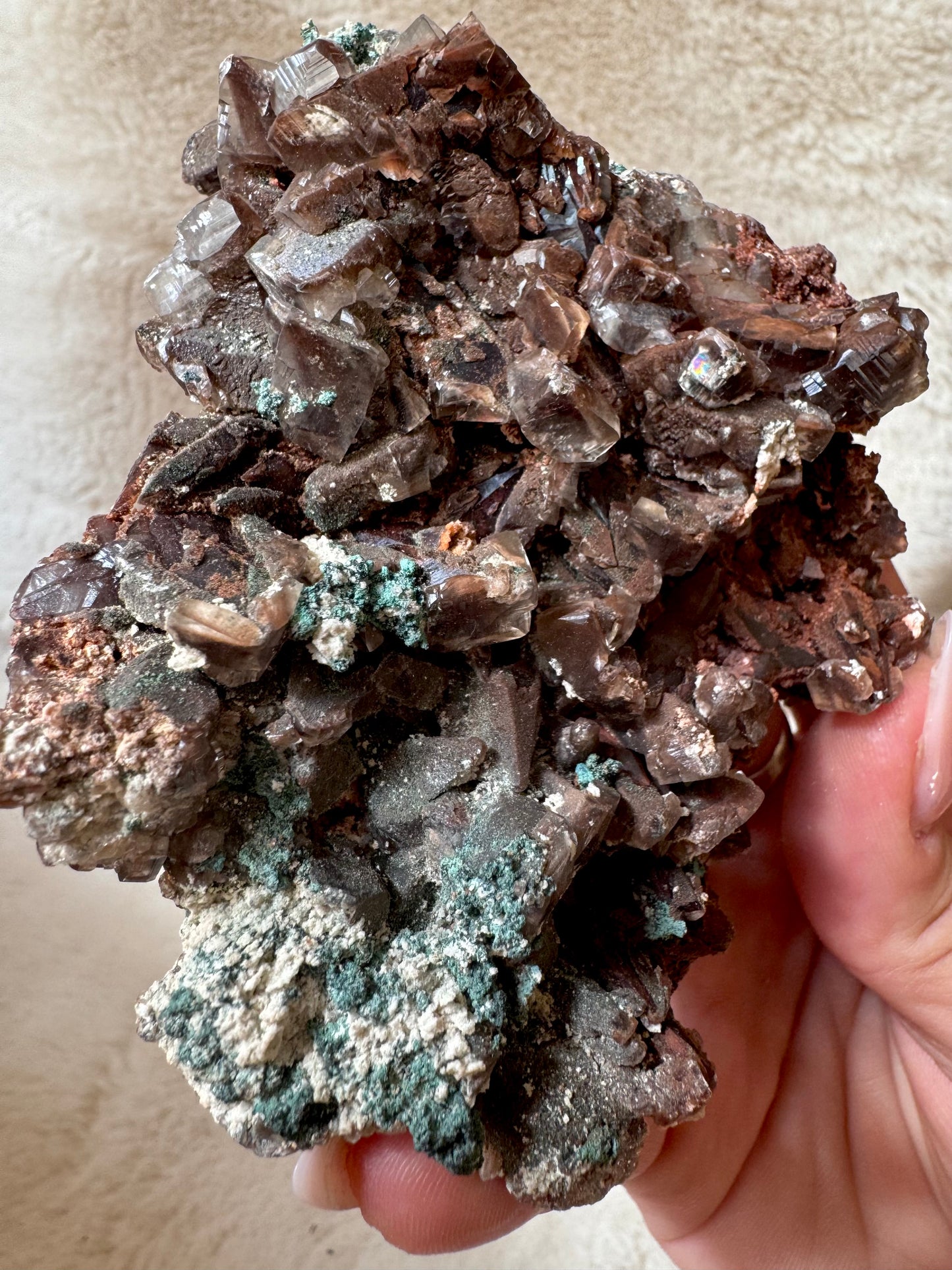 Chocolate Dogtooth Calcite specimens