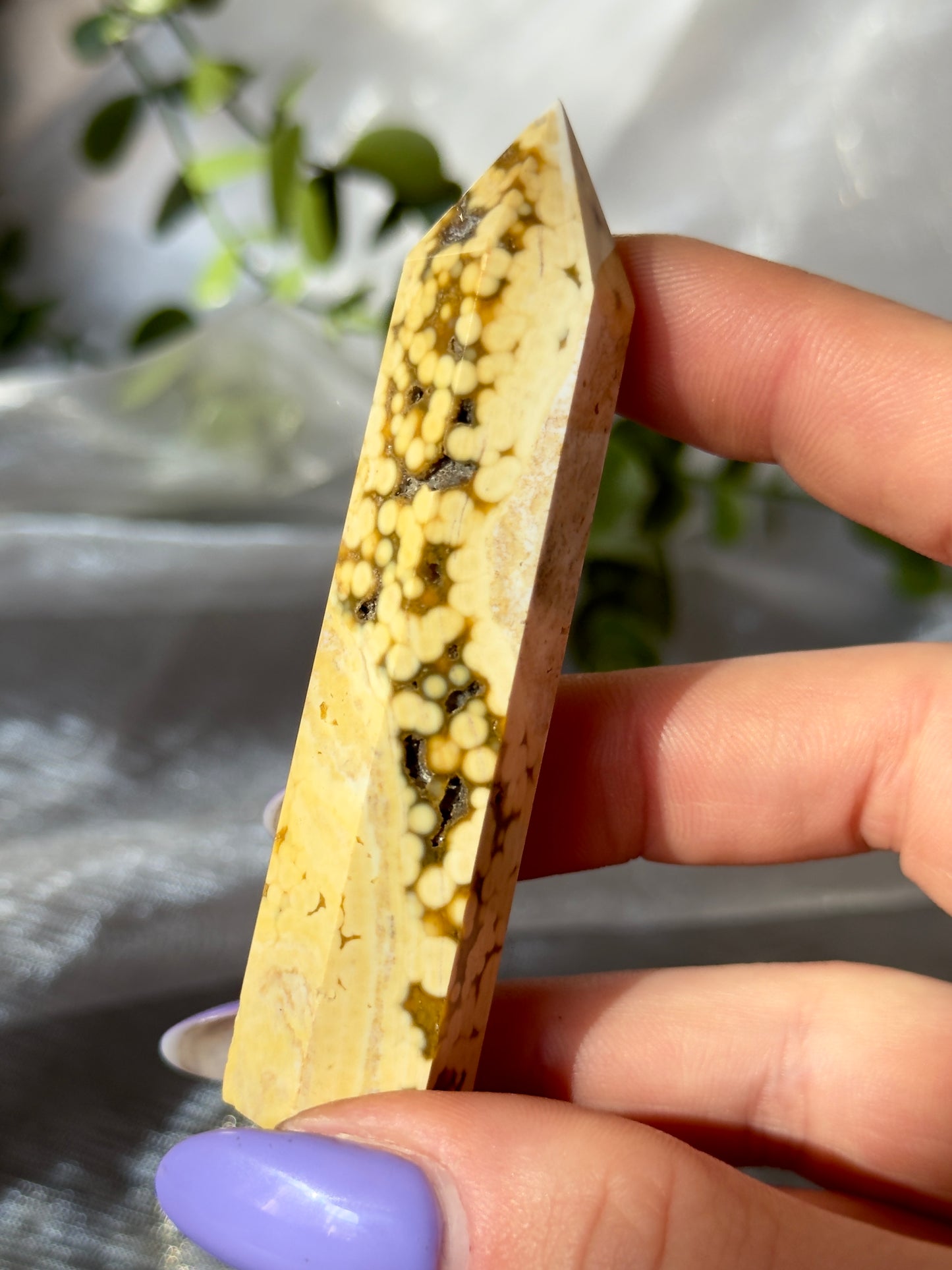 Orbicular Ocean Jasper towers