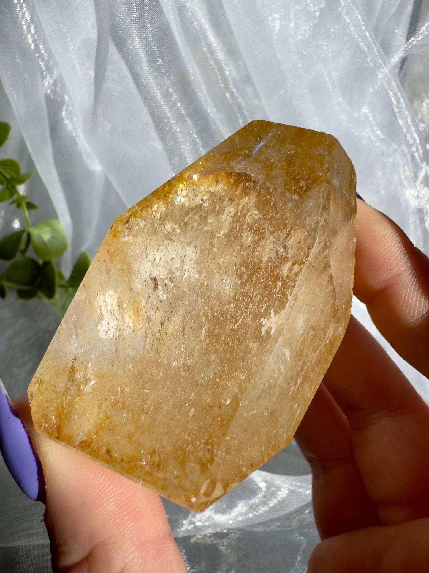 Golden Healer freeforms