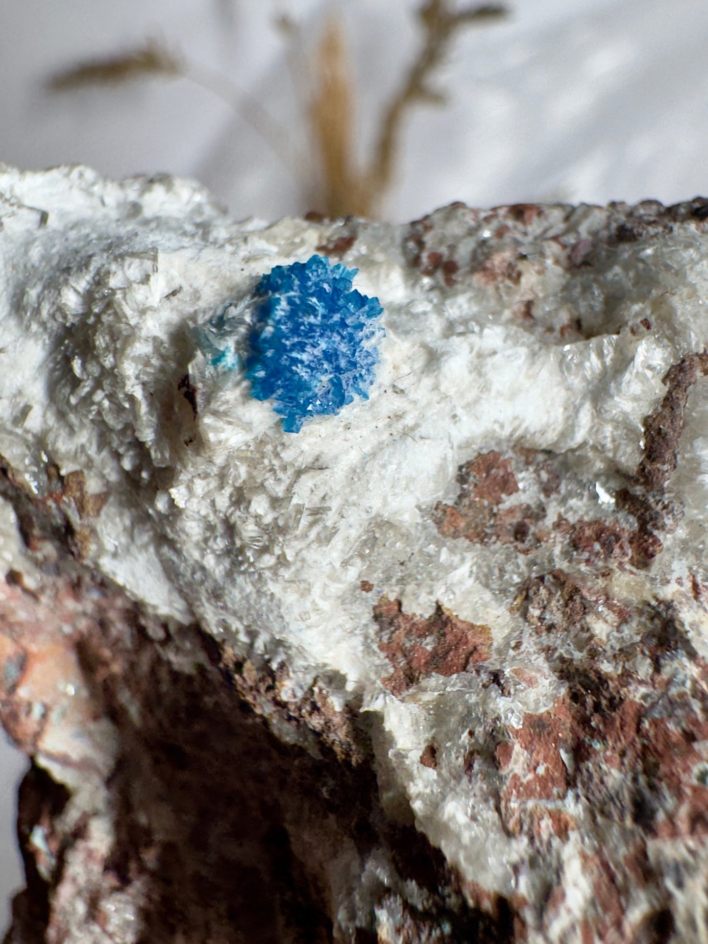 Cavansite on Matrix – Rare Indian Crystal for Insight, Intuition & Truth