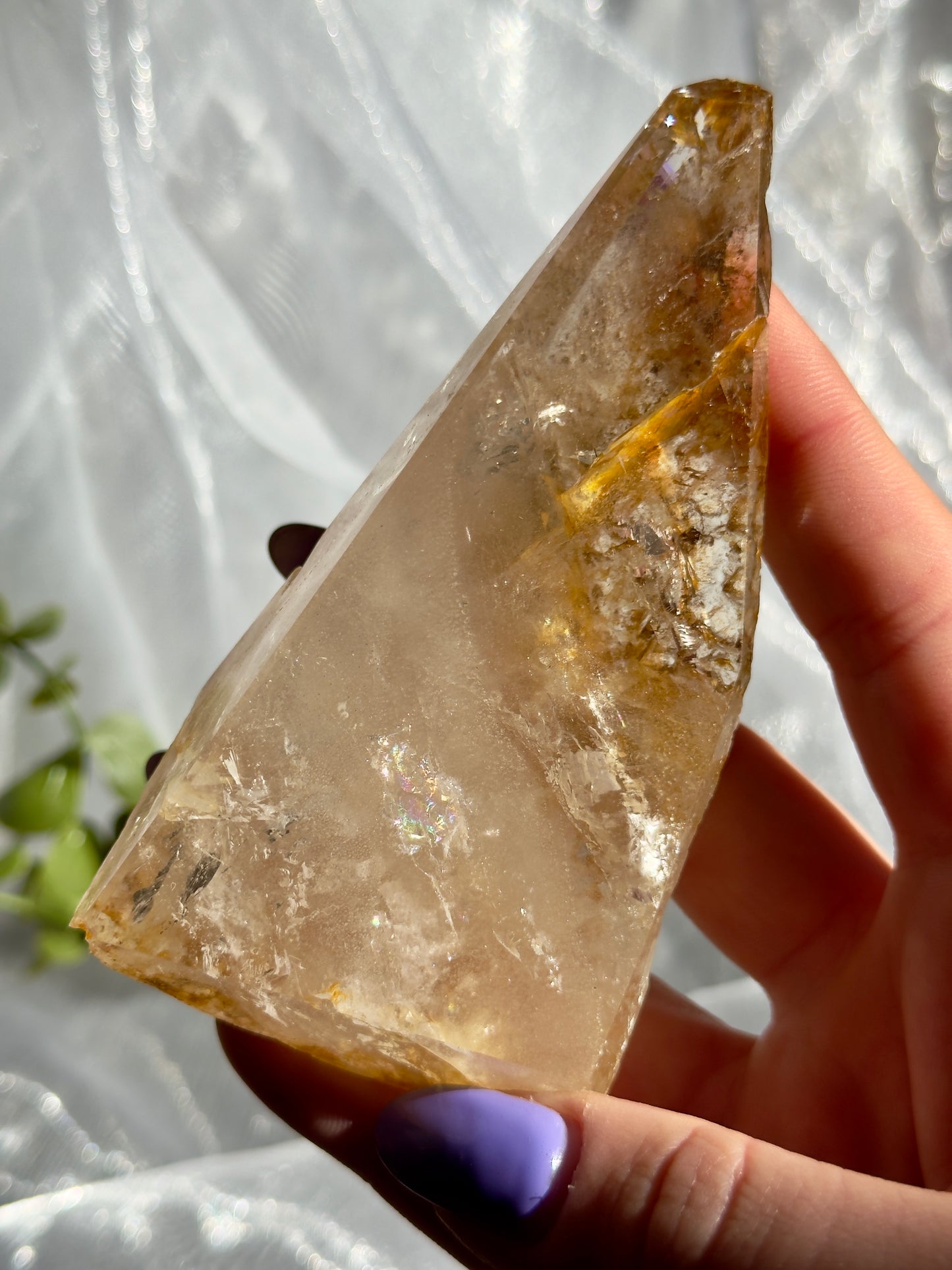 Golden Healer freeforms