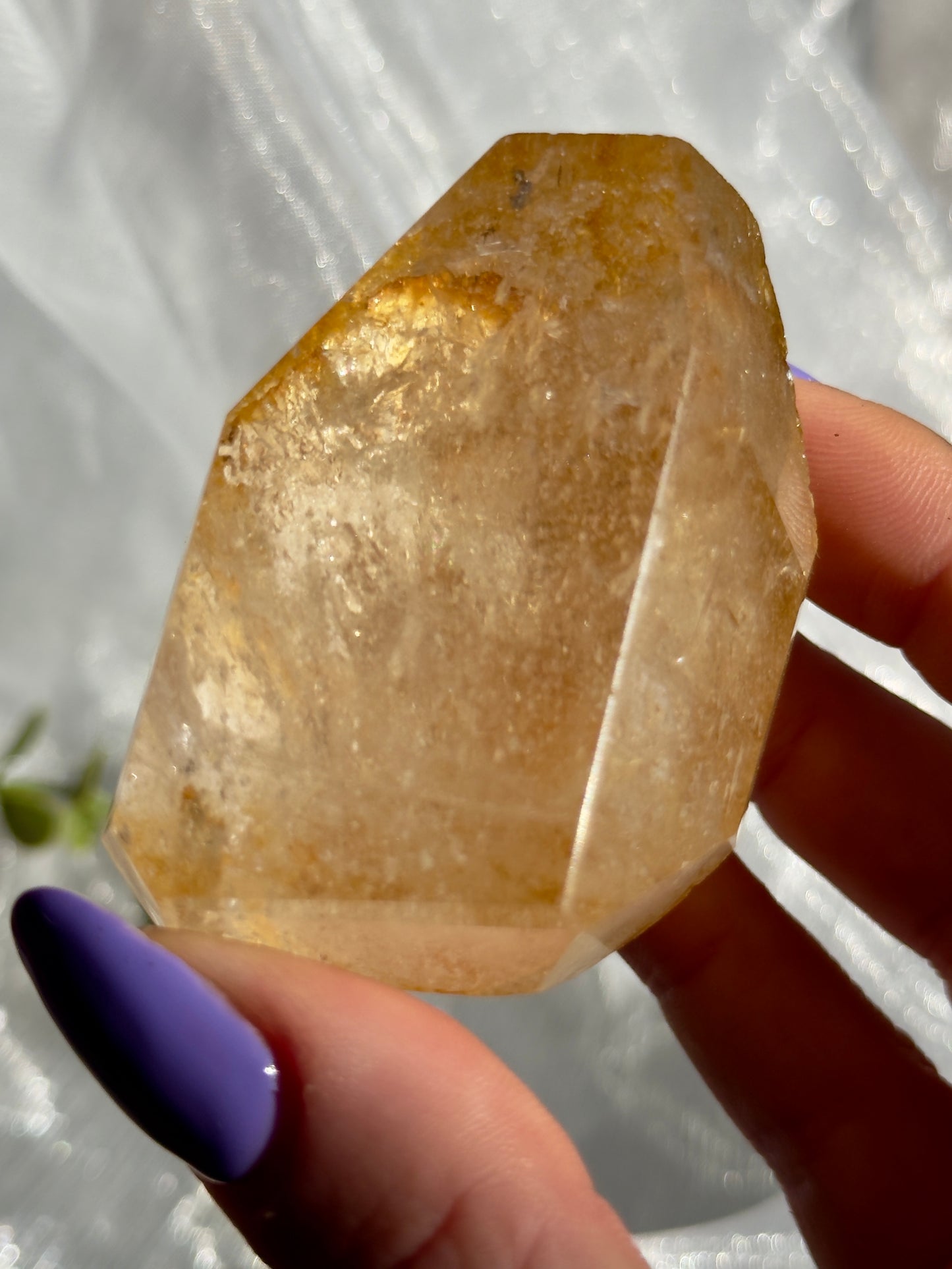 Golden Healer freeforms