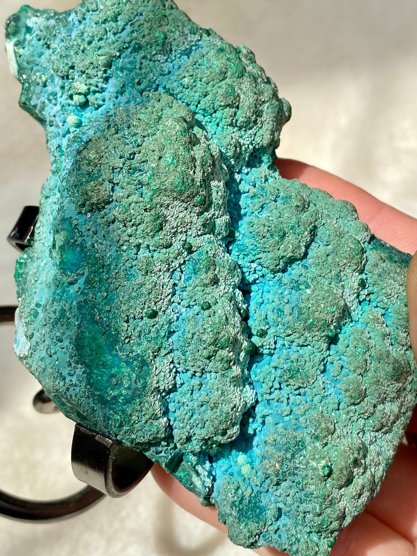 Botryoidal Chrysocolla Bubble specimens and holder