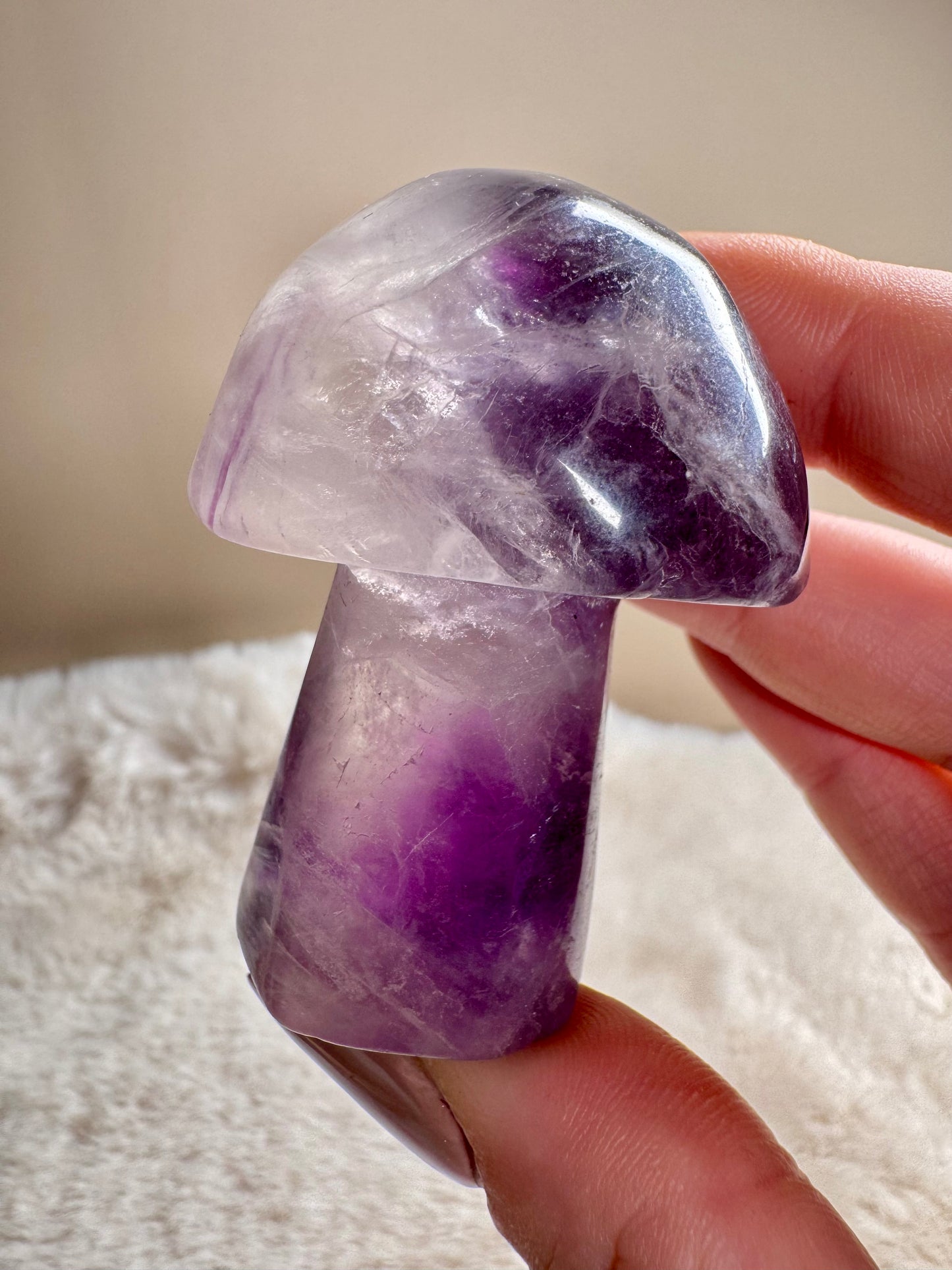 Fluorite Mushrooms