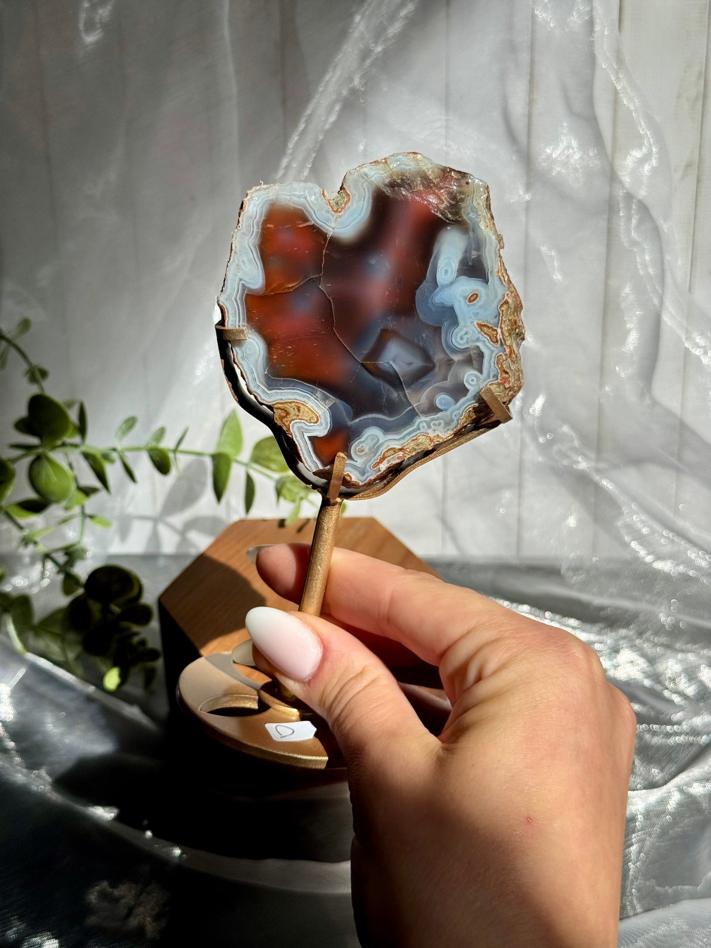 Swazi Agate slabs on stand - Mozambique