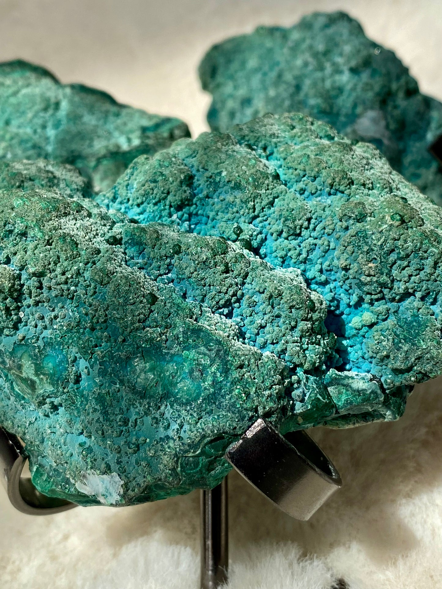 Botryoidal Chrysocolla Bubble specimens and holder