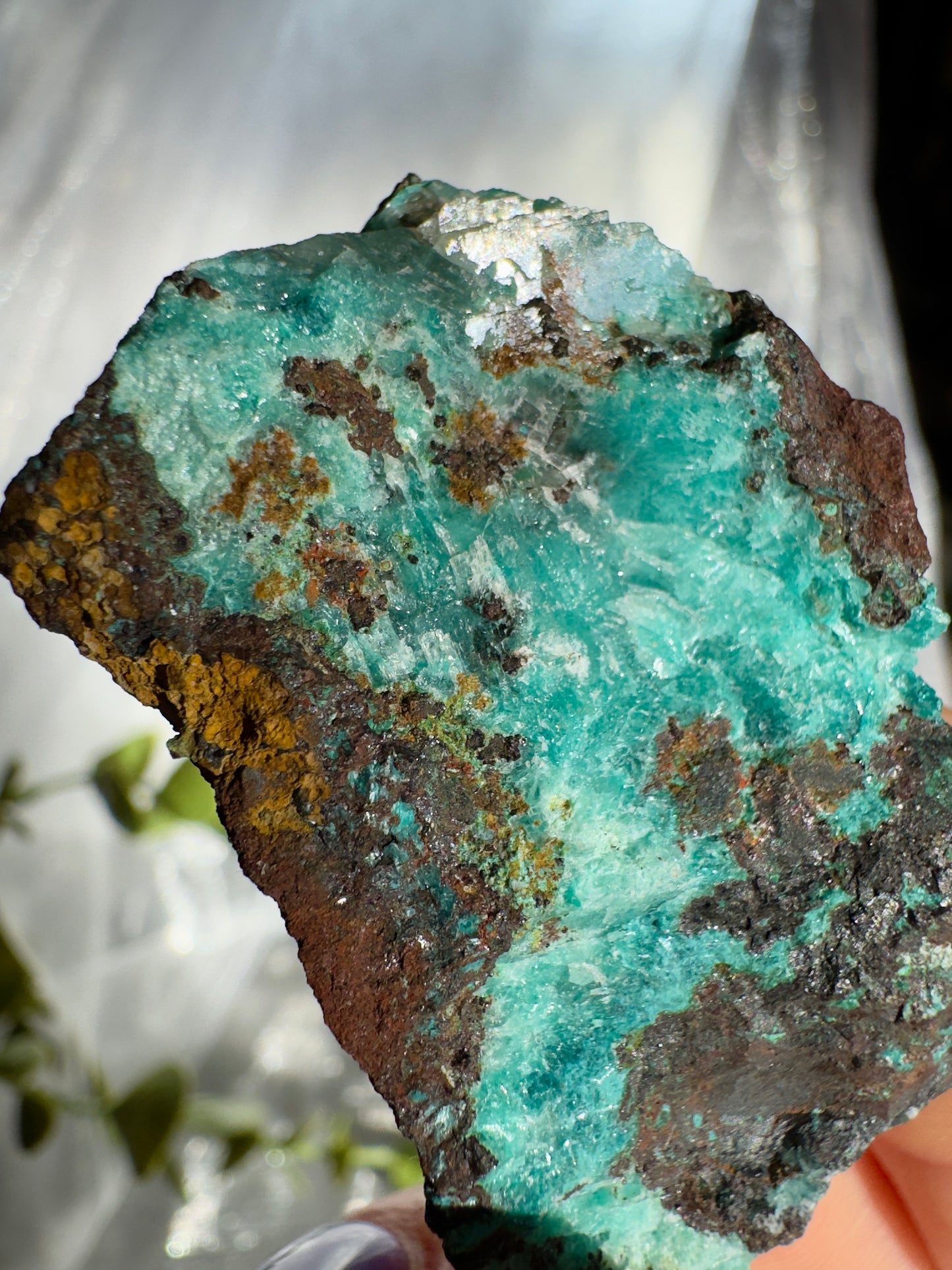 Rare Rosasite Specimens from Ojuela mine- Mexico