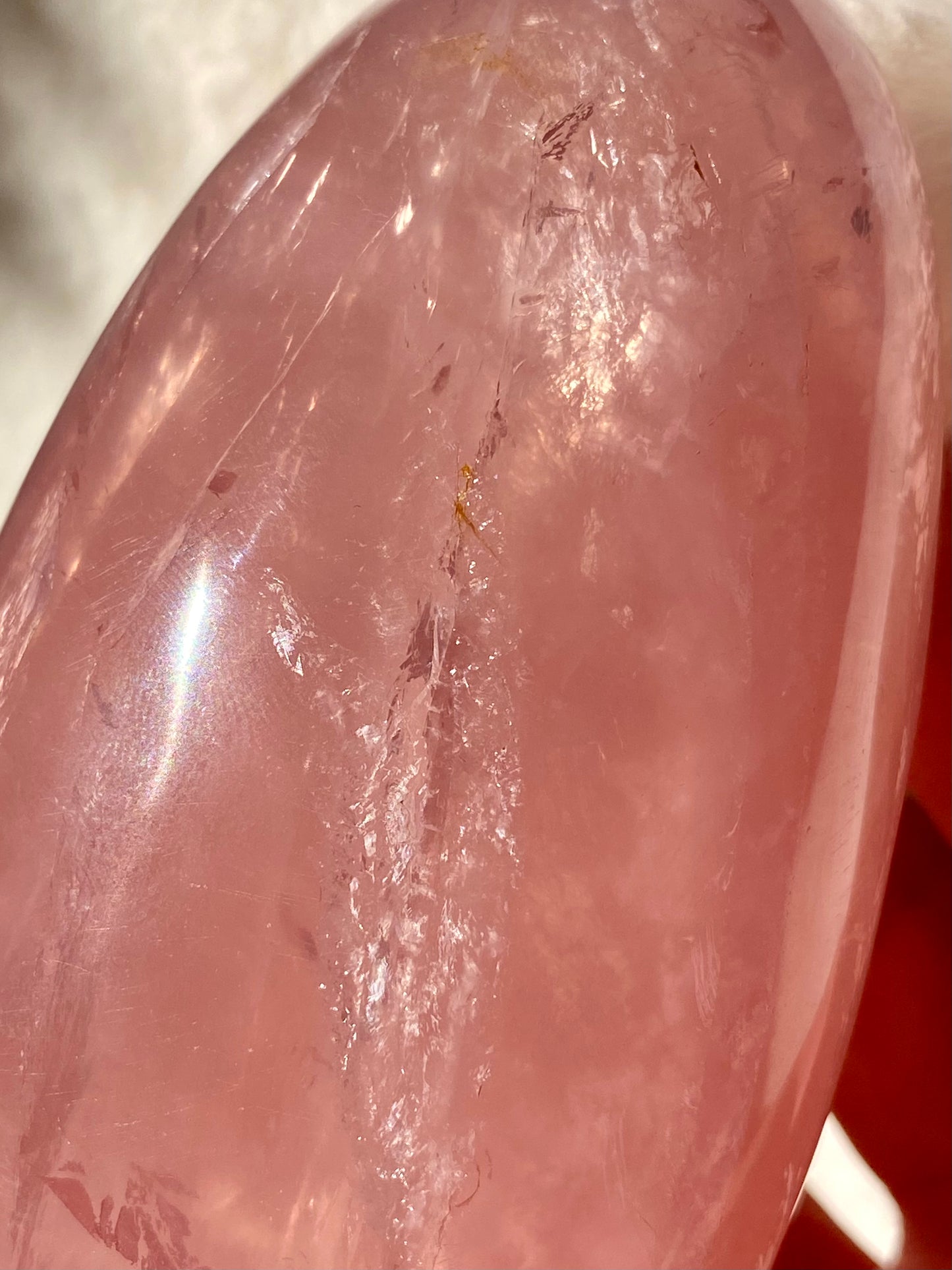 High Grade Brazilian Rose Quartz freeforms with star flash