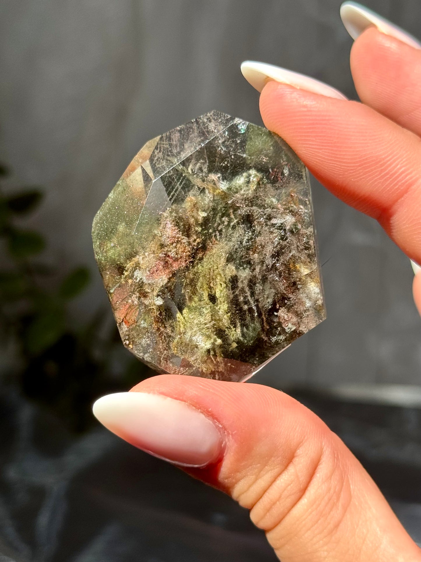 Lodolite| Garden Quartz Freeforms