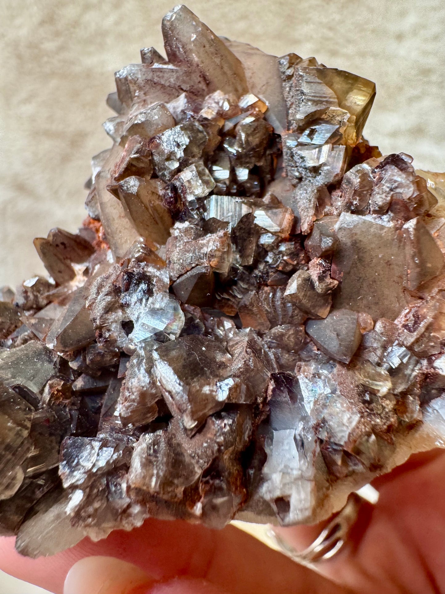 Chocolate Dogtooth Calcite specimens