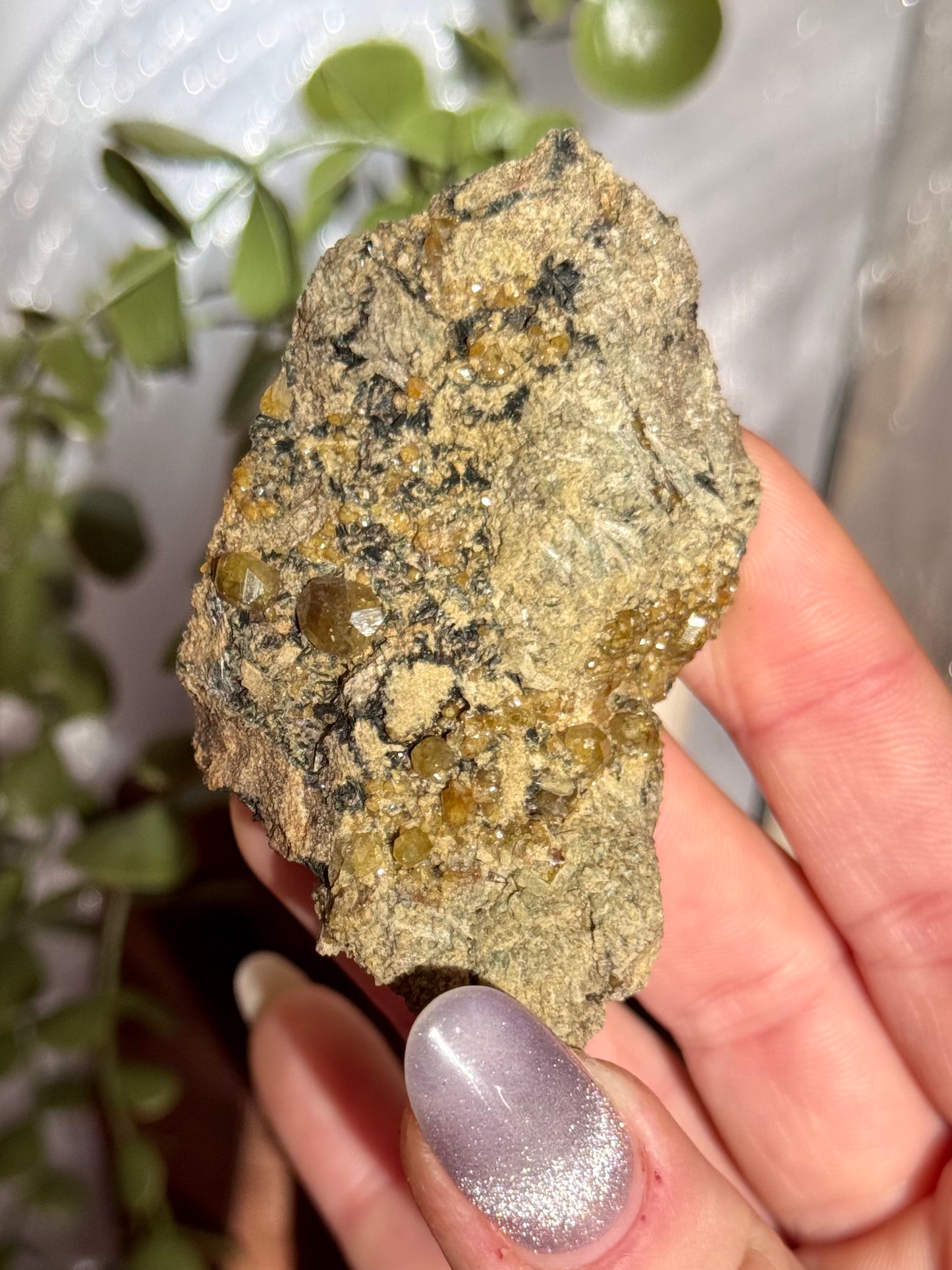 Andradite var demantoid