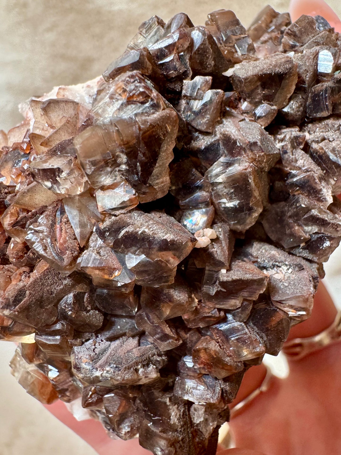 Chocolate Dogtooth Calcite specimens