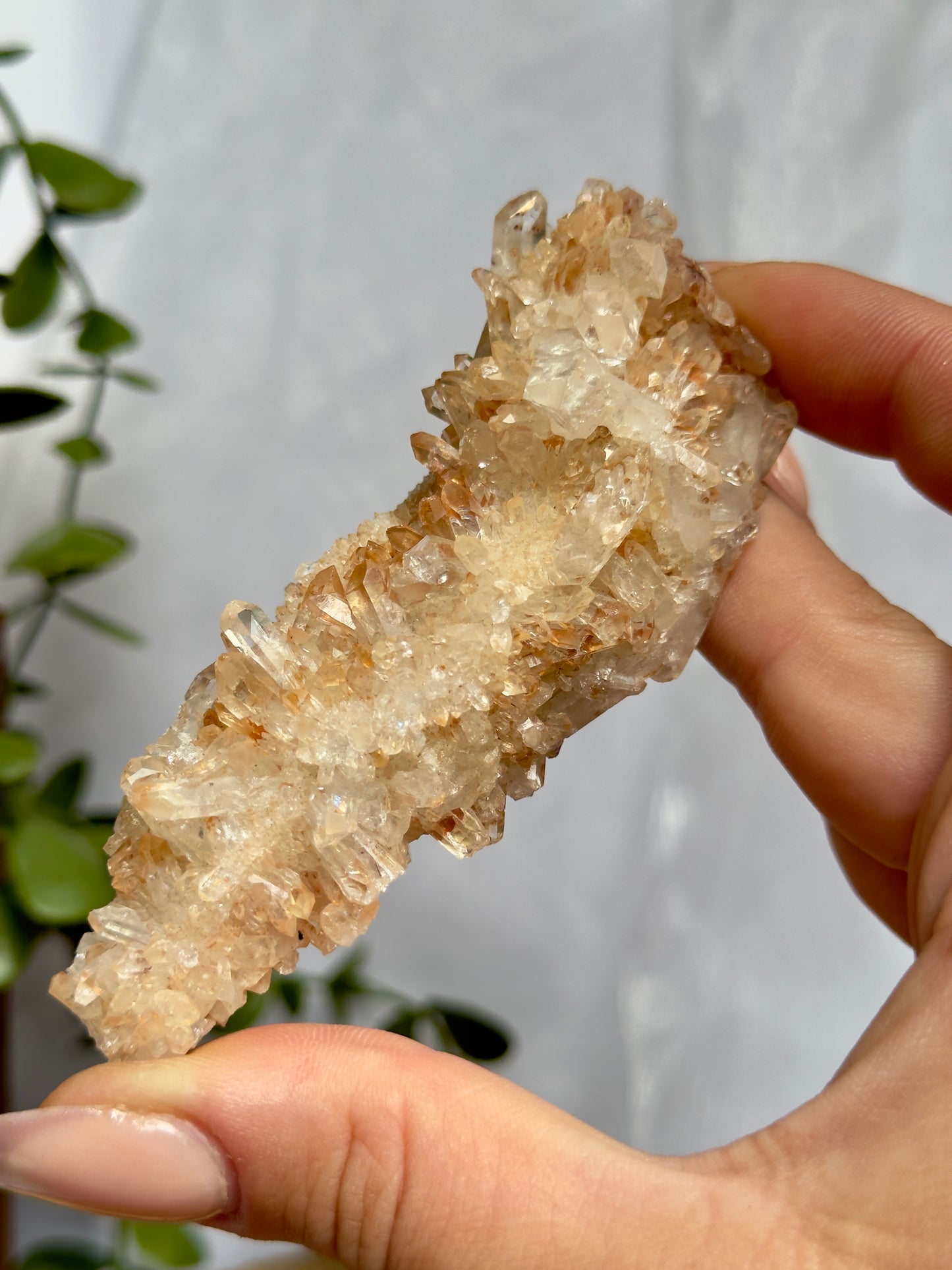 Brazilian Tangerine Quartz