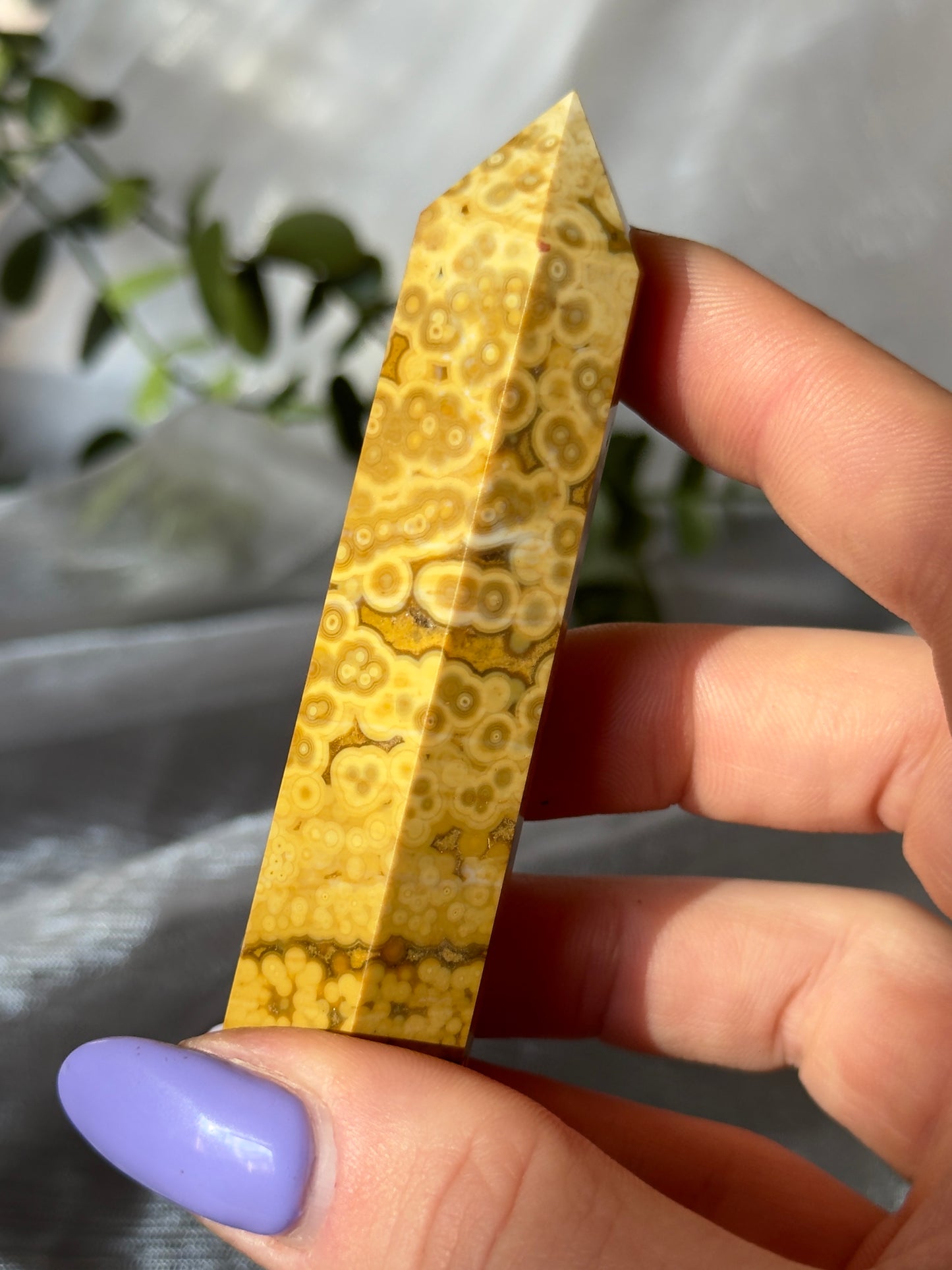 Orbicular Ocean Jasper towers