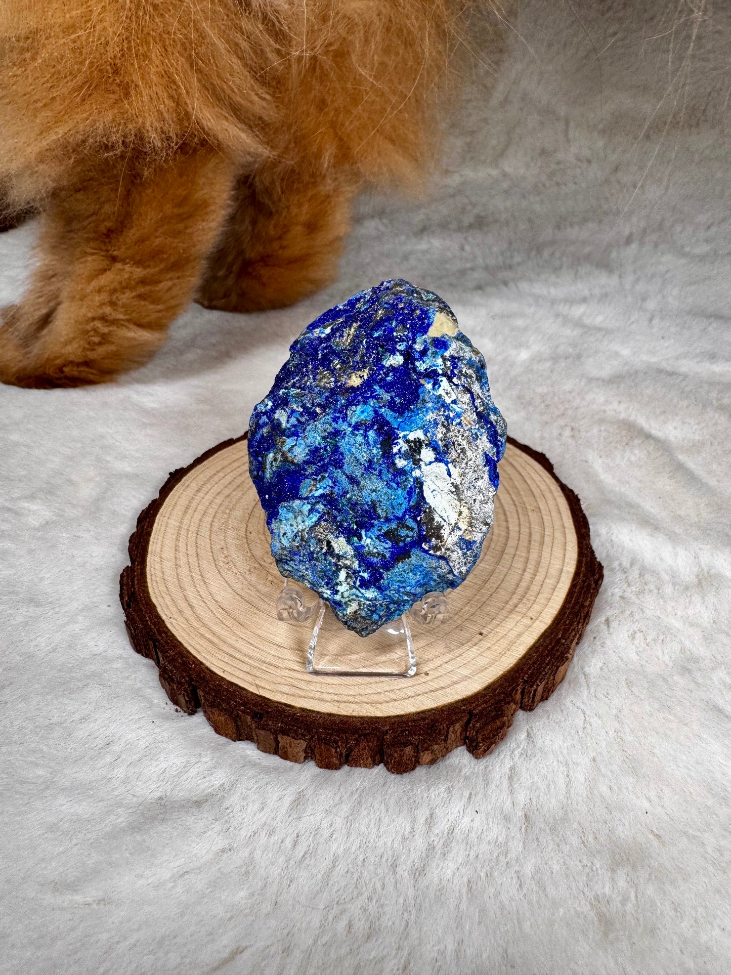 Azurite Sparkly specimens