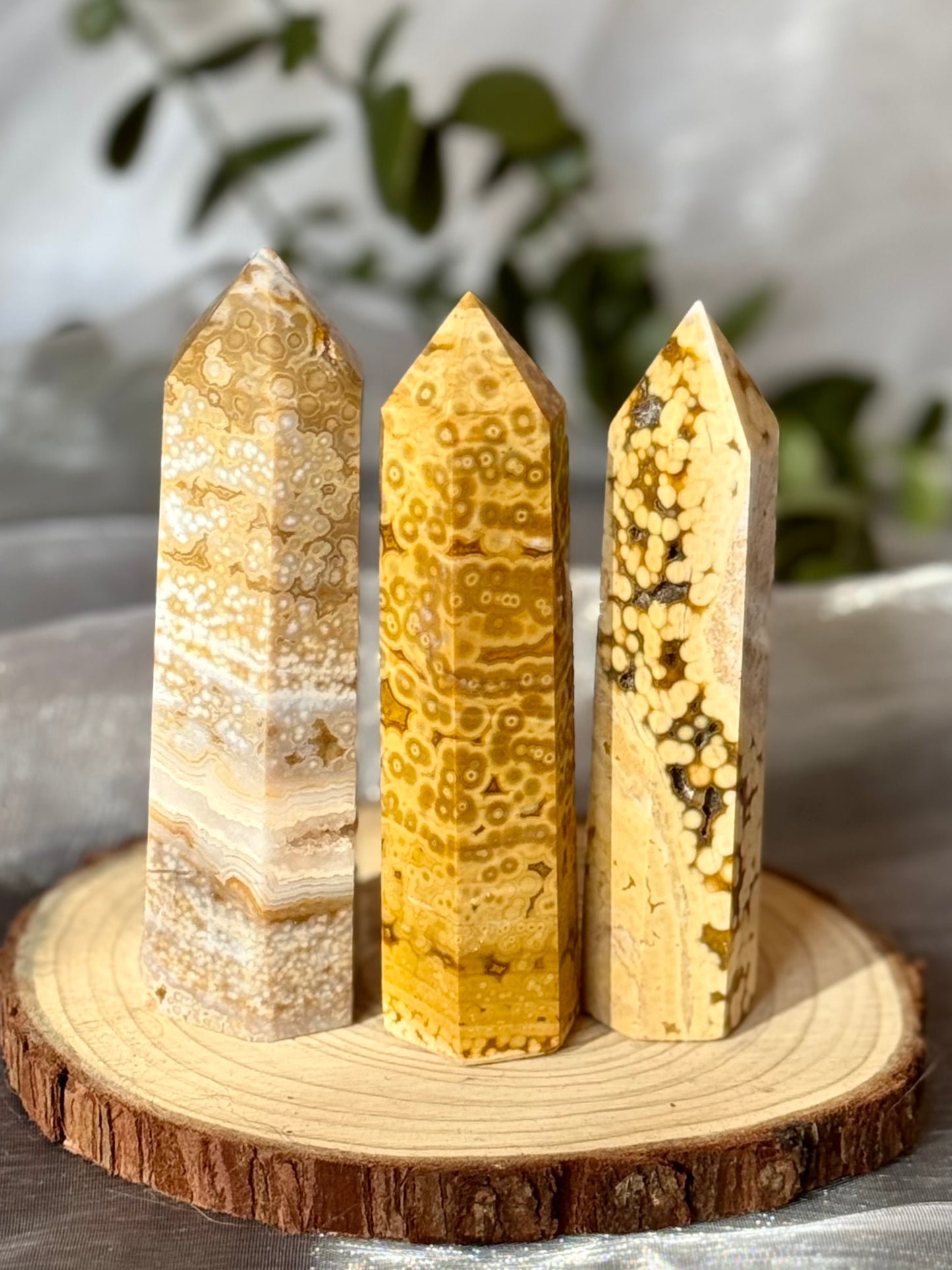 Orbicular Ocean Jasper towers