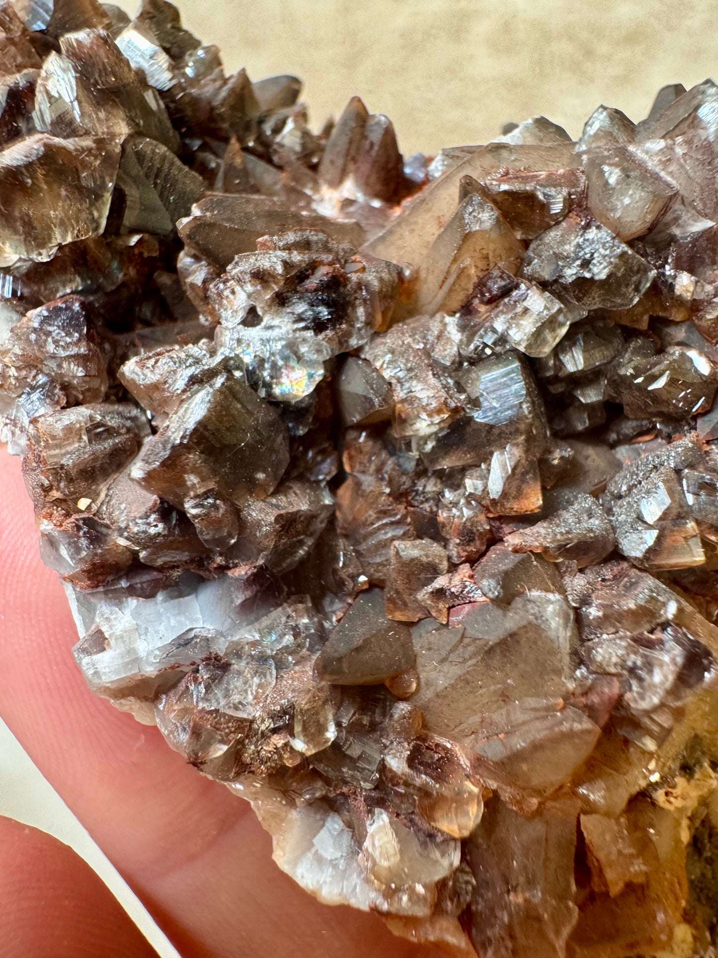 Chocolate Dogtooth Calcite specimens