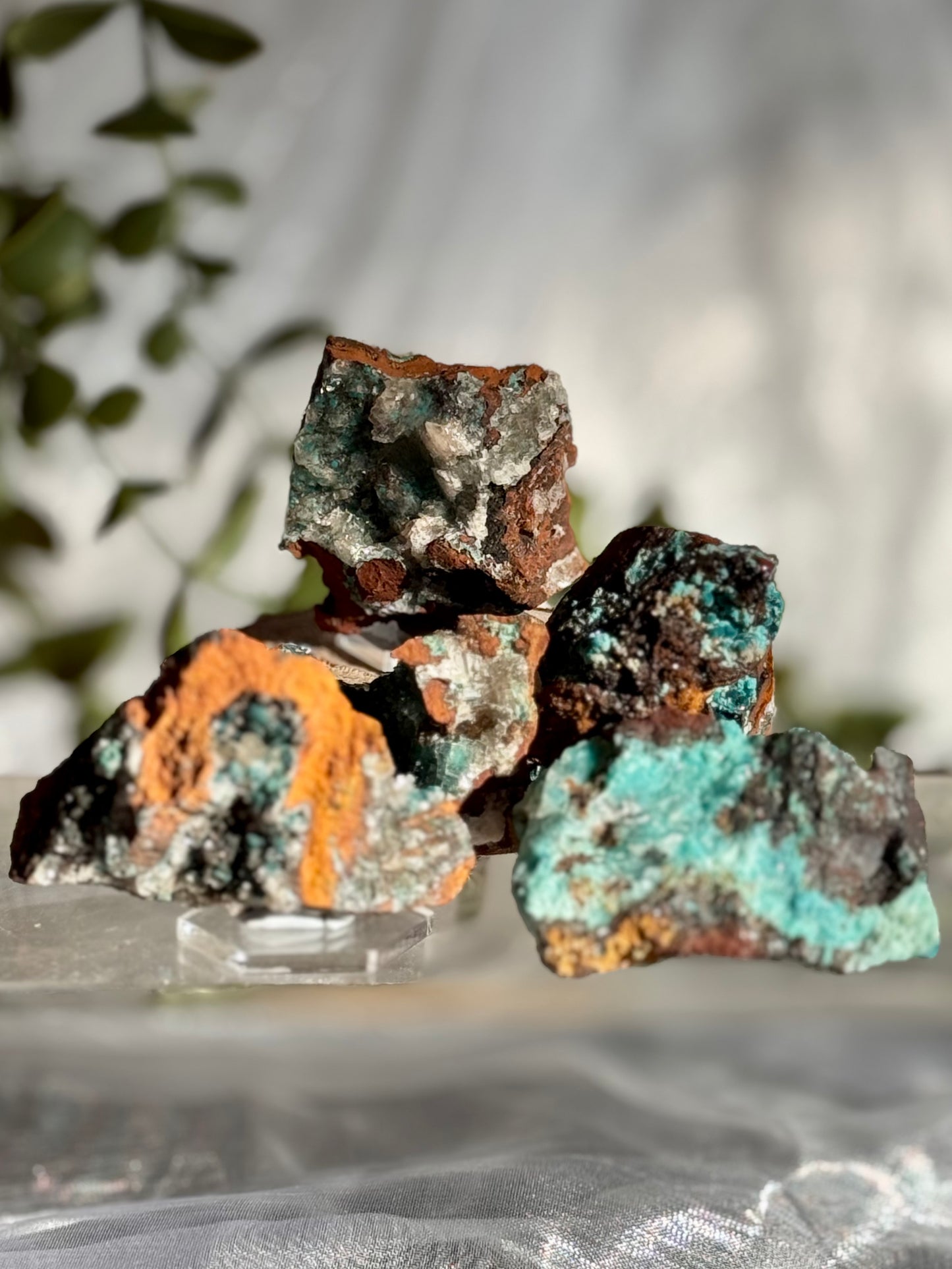 Rare Rosasite Specimens from Ojuela mine- Mexico