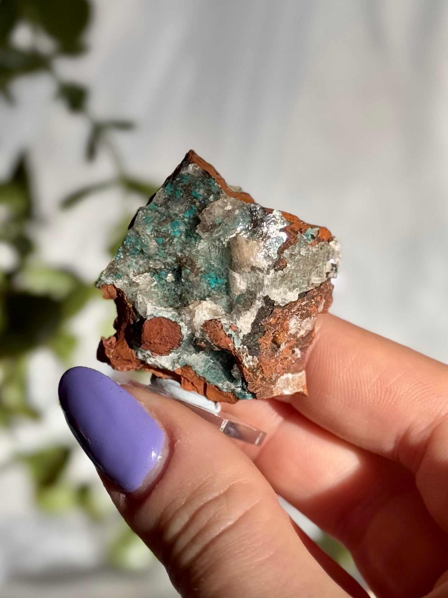 Rare Rosasite Specimens from Ojuela mine- Mexico